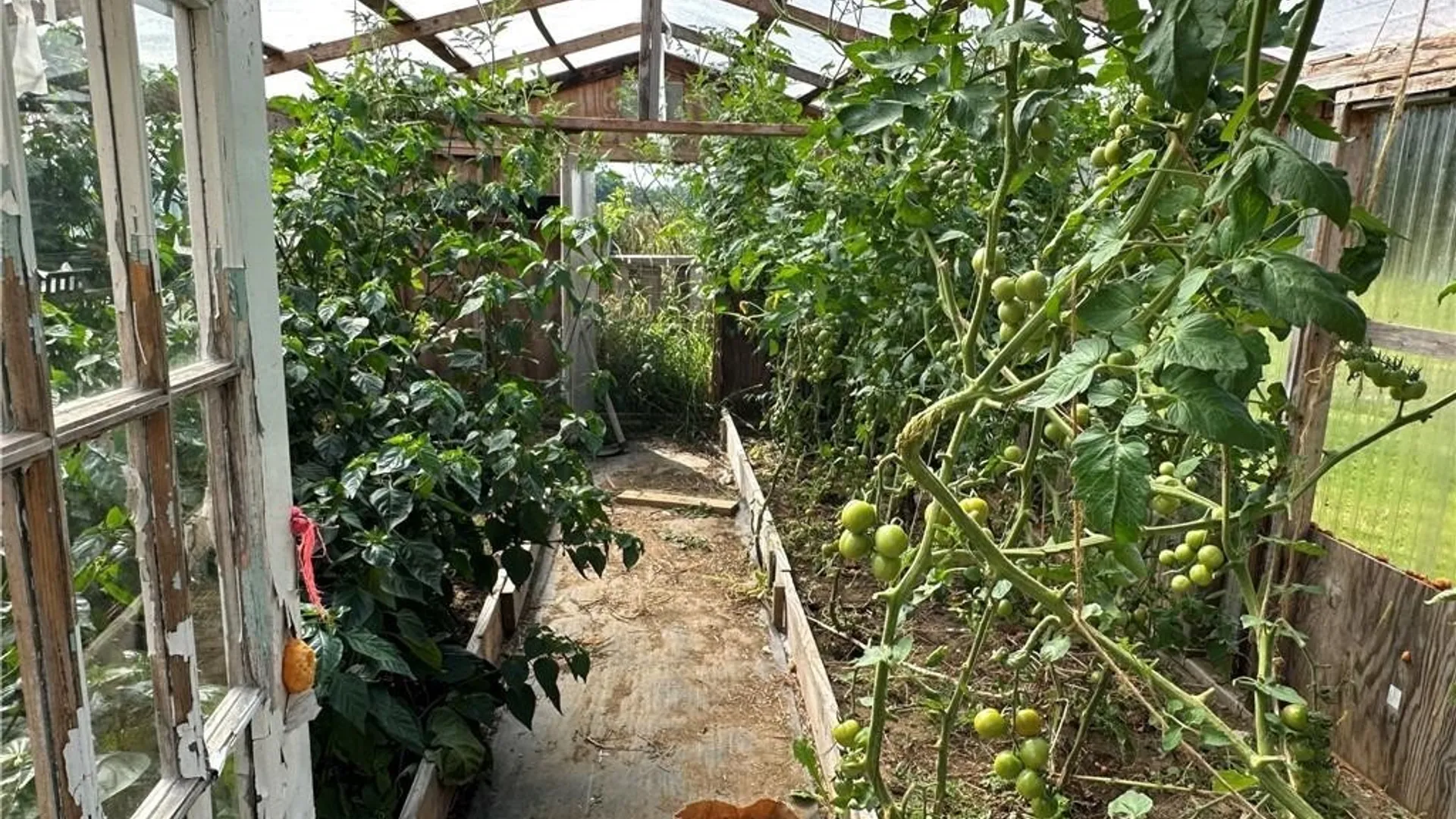 Property at 5516 Babbit Drive, Pike, NY 14536 24