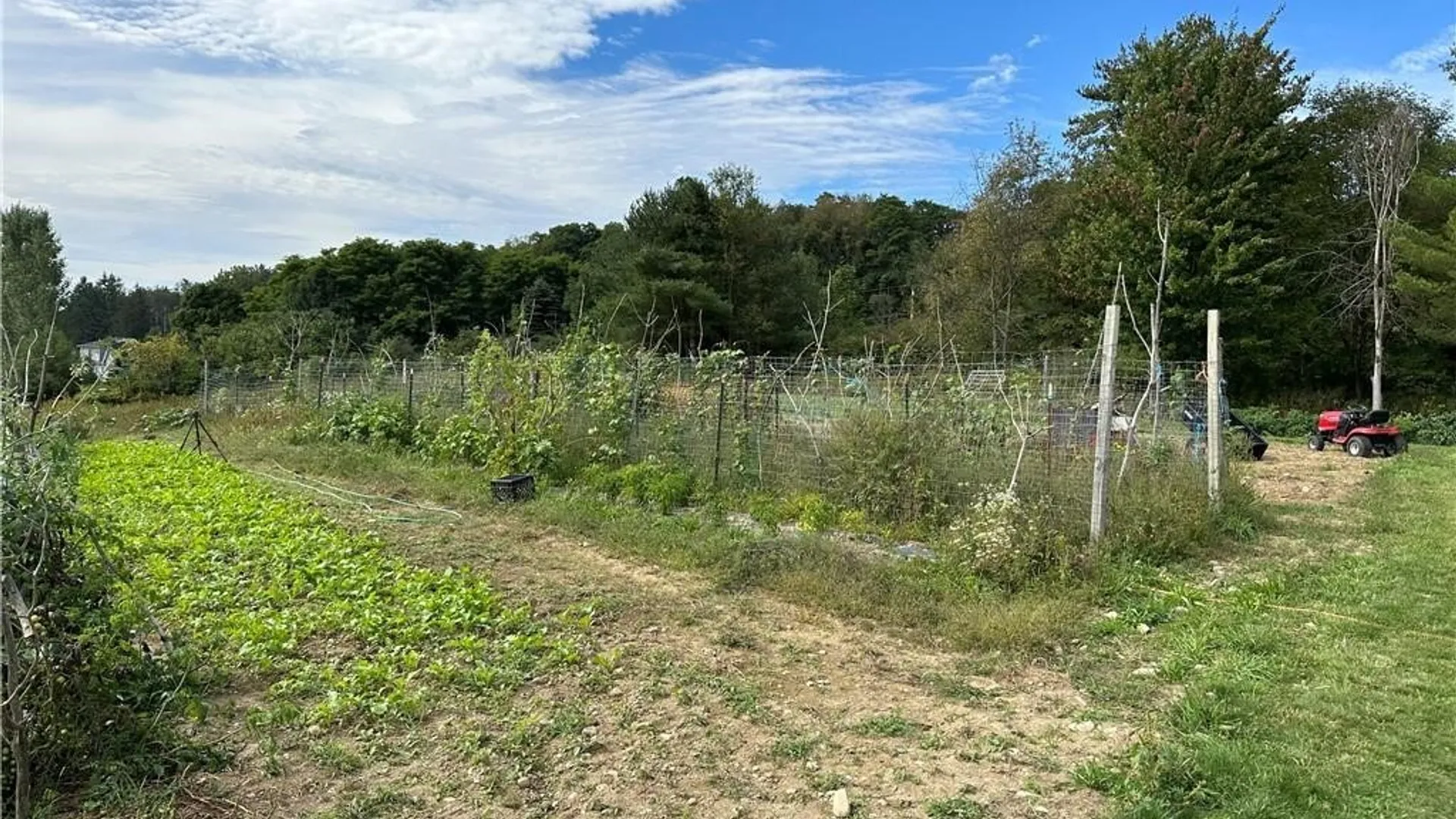 Property at 5516 Babbit Drive, Pike, NY 14536 31