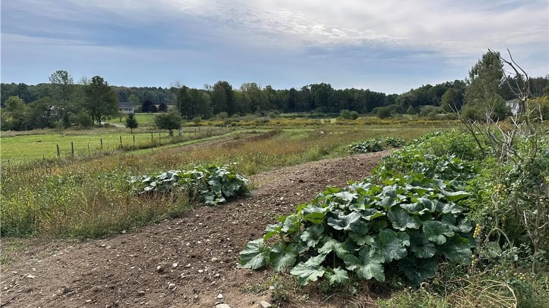 Property at 5516 Babbit Drive, Pike, NY 14536 33