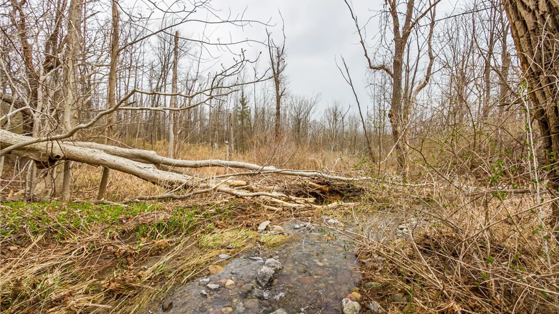 Property at 0000 Main Street, Richmond, NY 14471 13