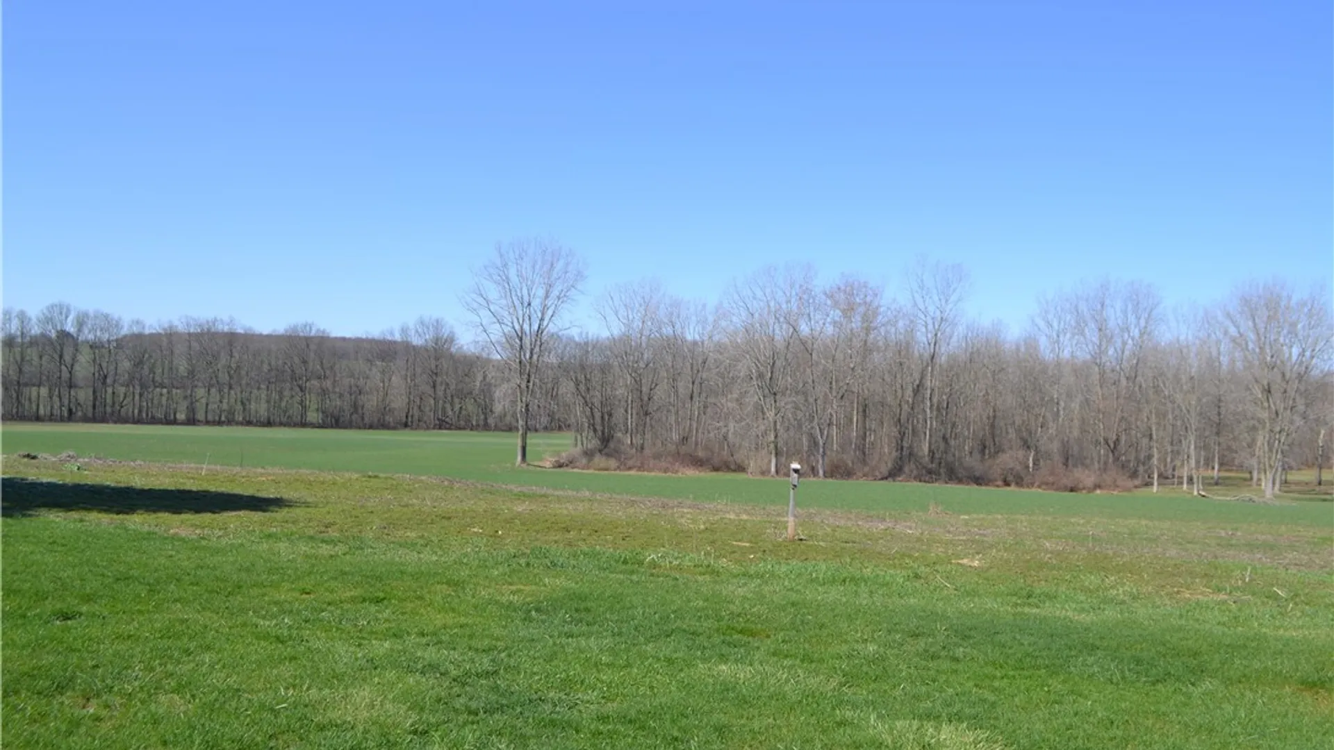 Property at 10538 Pavilion Center Road, Pavilion, NY 14525 34