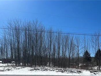 Property at State Route 177, Pinckney, NY 13626