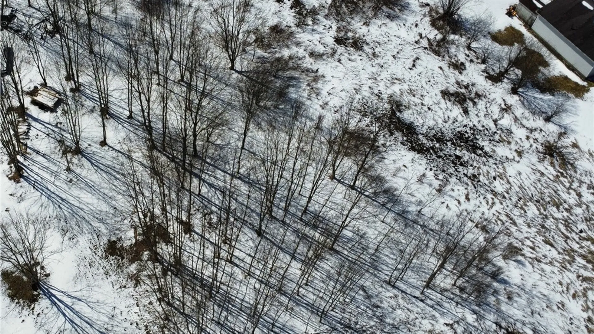 Property at State Route 177, Pinckney, NY 13626 4