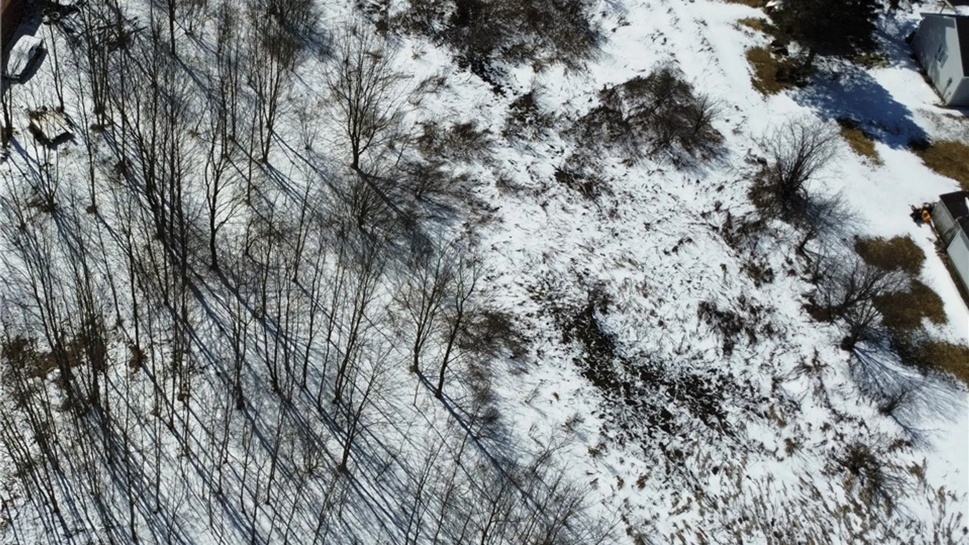 Property at State Route 177, Pinckney, NY 13626 5