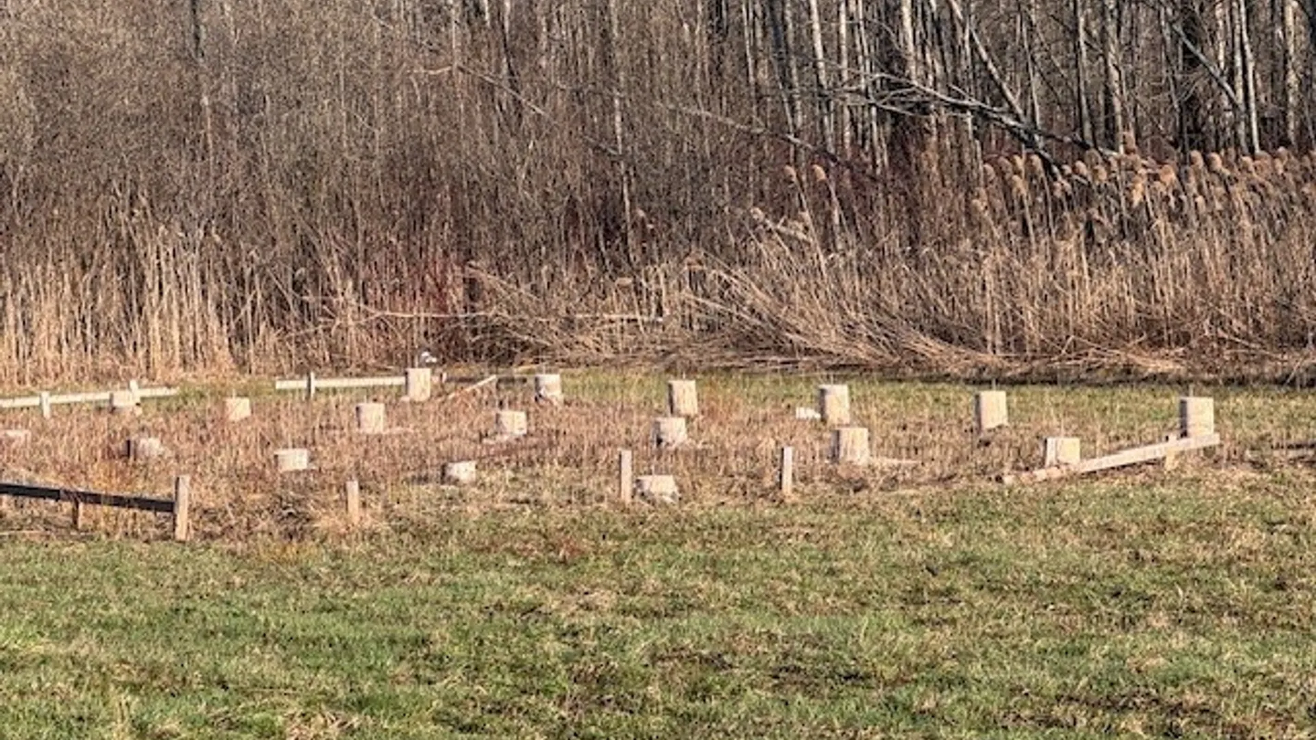 Property at 7203 Barber Road, Chautauqua, NY 14728 5