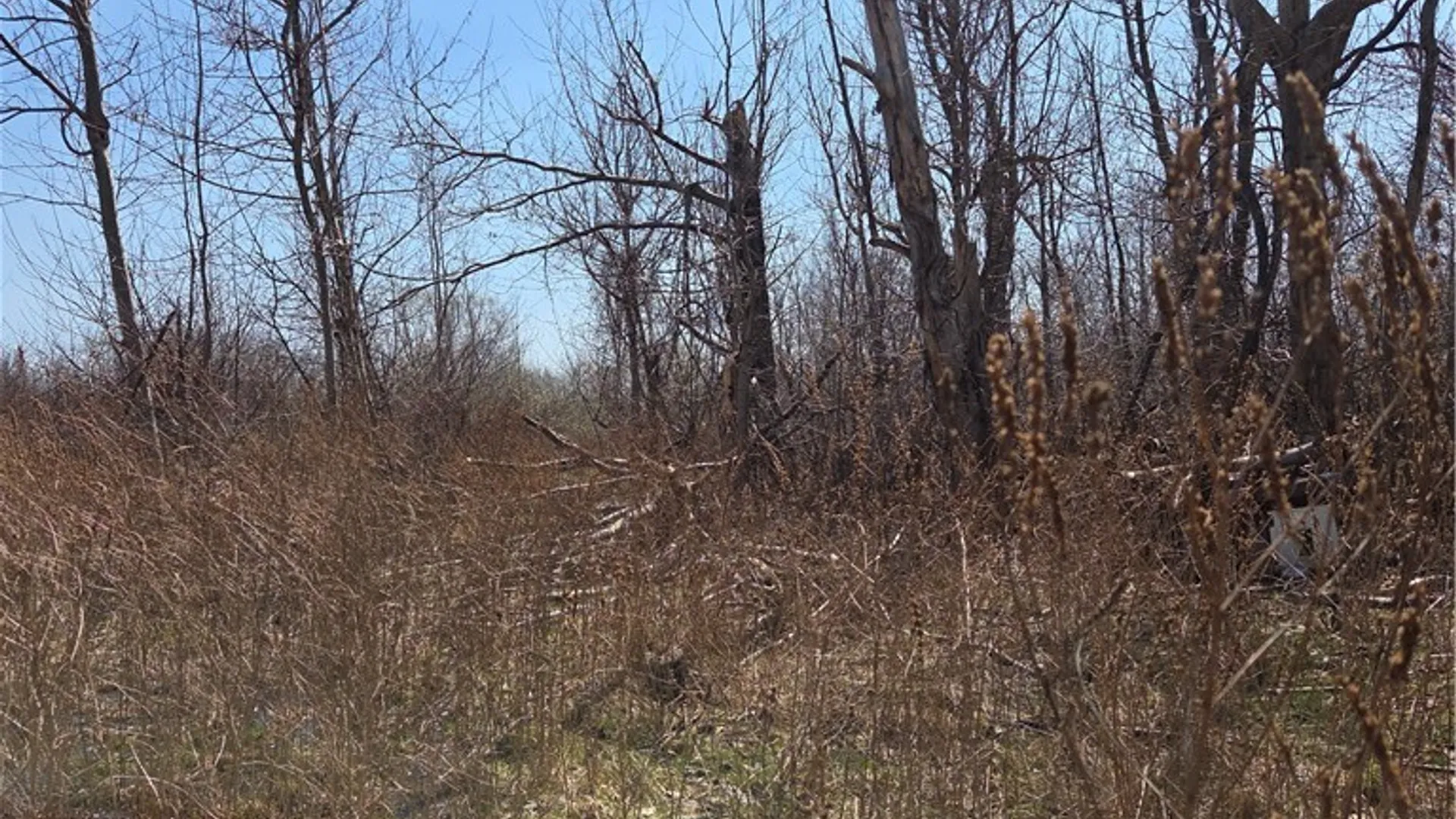 Property at 5281 Berry Road, Pomfret, NY 14063 3