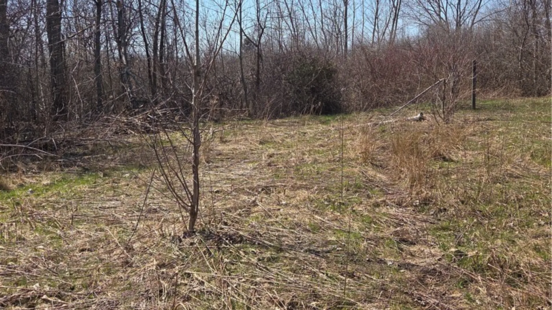 Property at 5281 Berry Road, Pomfret, NY 14063 4