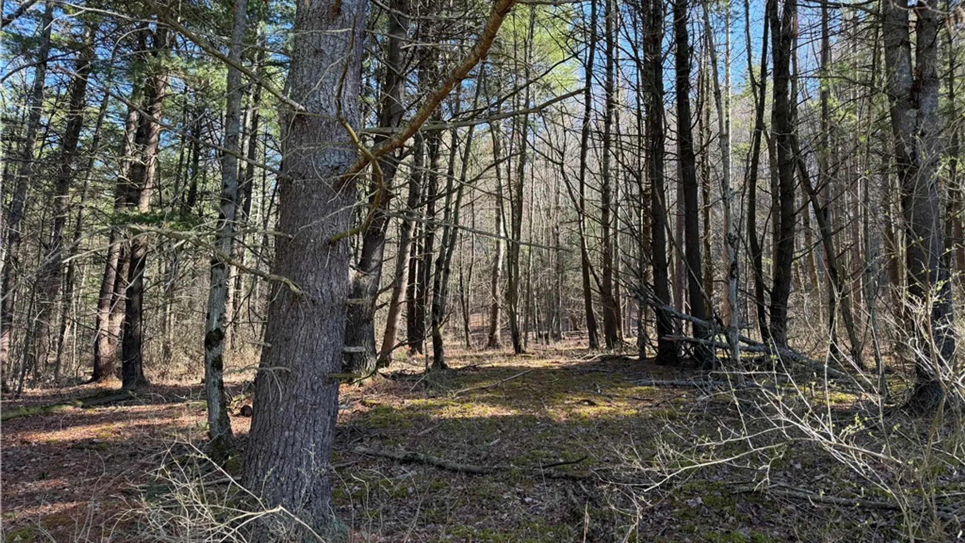 Property at 5310 County Route 10, Cameron, NY 14819 23