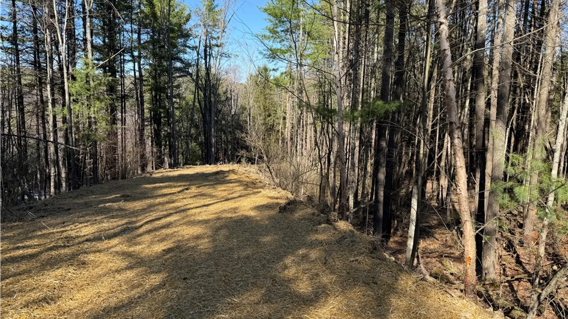 Property at 5310 County Route 10, Cameron, NY 14819 25
