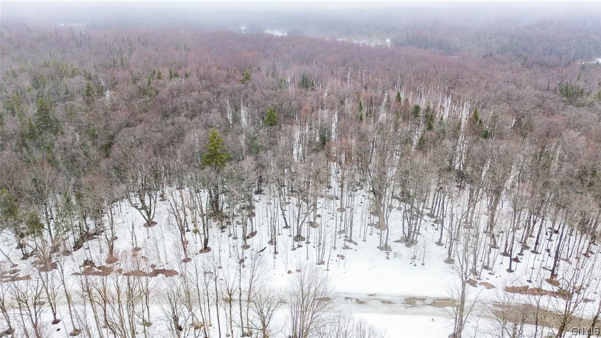 Property at 1727 Olin Road, Montague, NY 13367 10