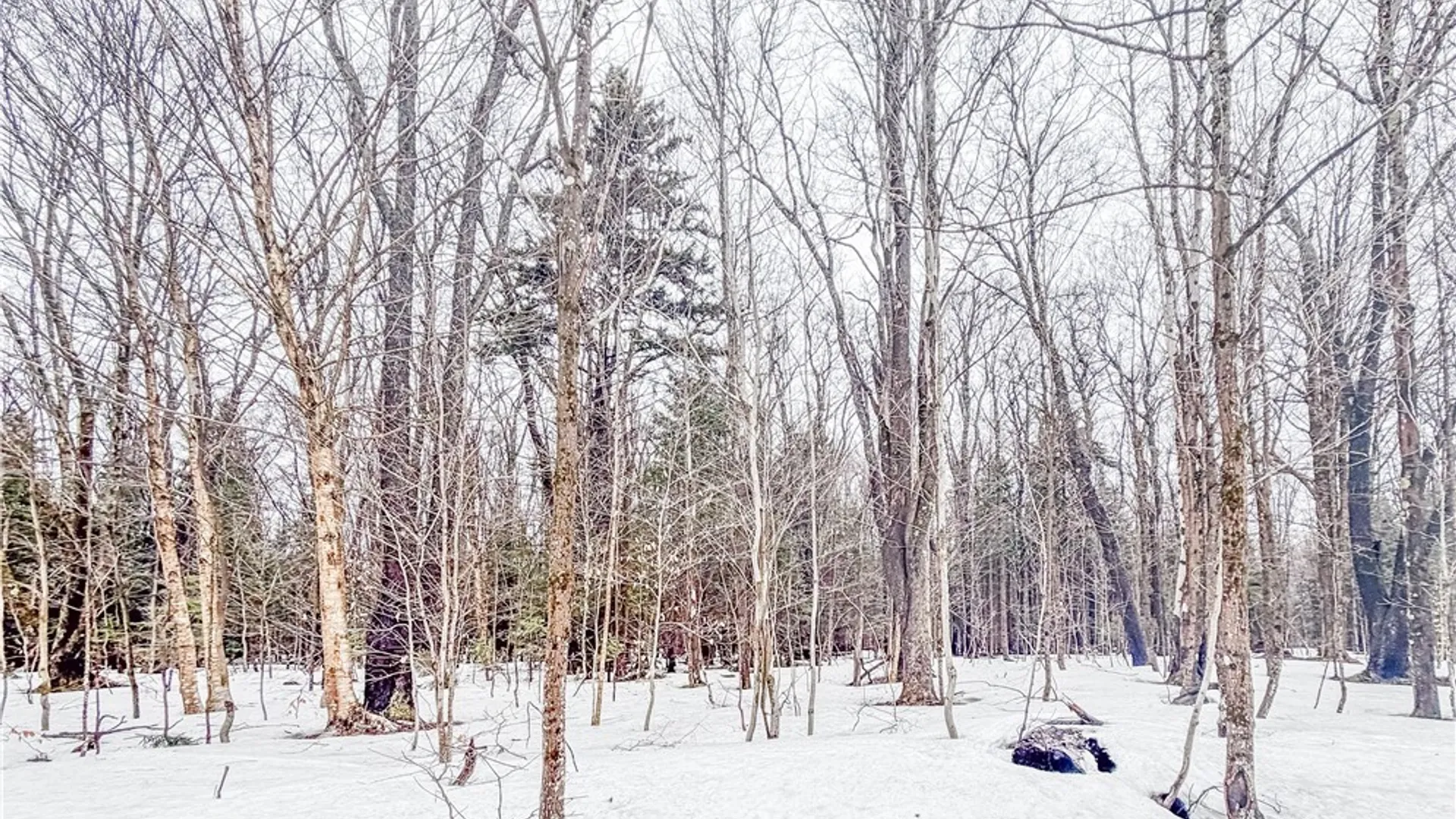 Property at 1727 Olin Road, Montague, NY 13367 2