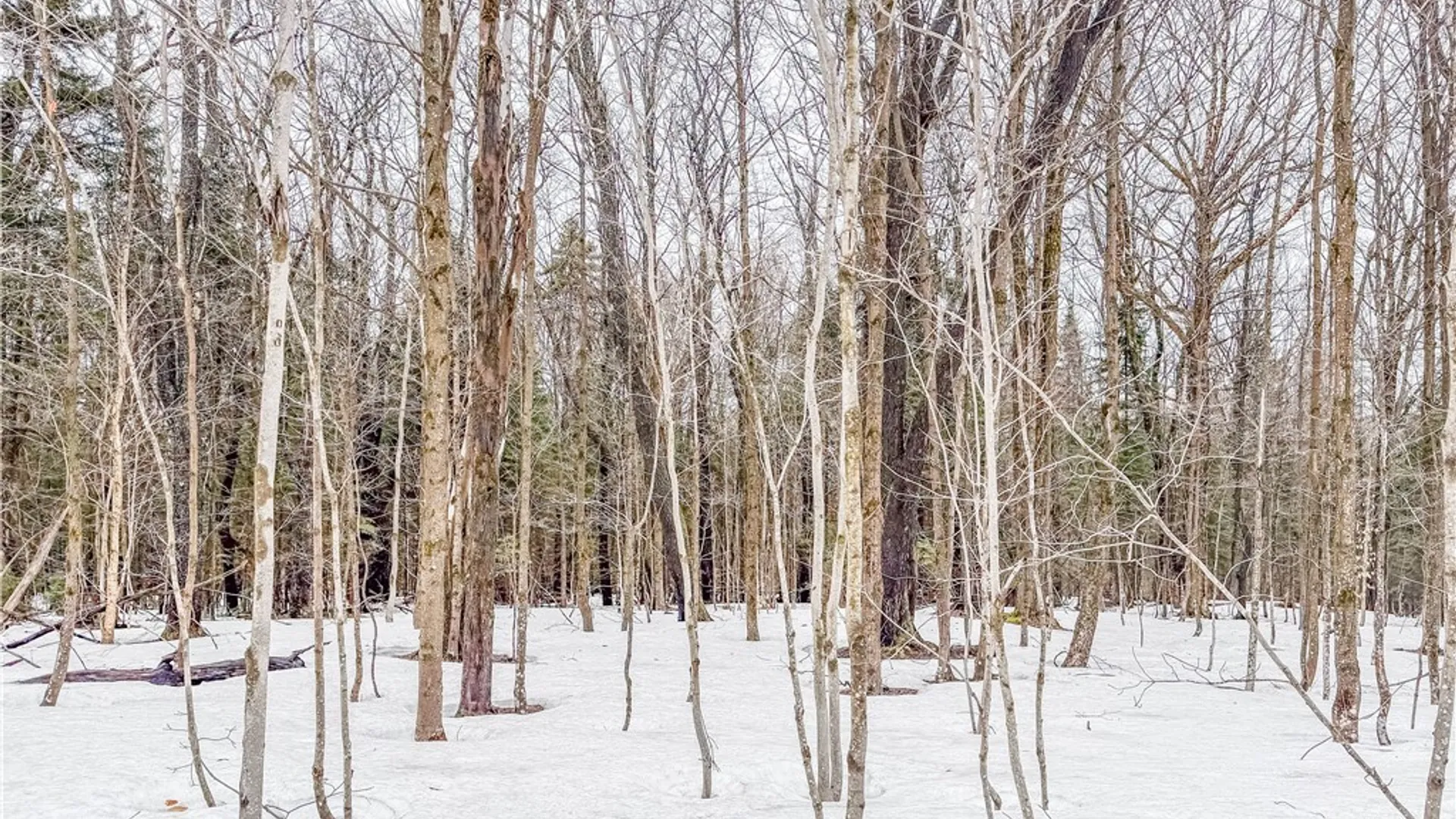 Property at 1727 Olin Road, Montague, NY 13367 3