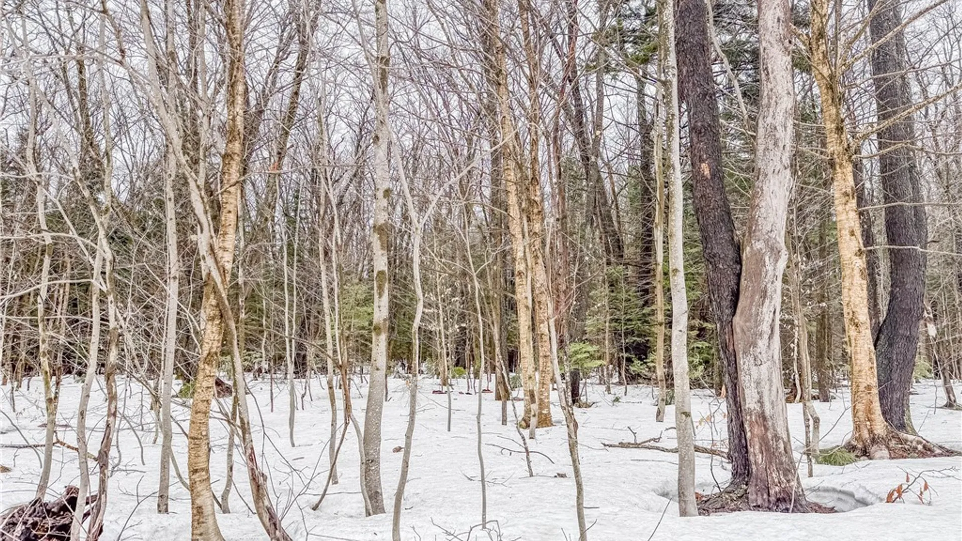 Property at 1727 Olin Road, Montague, NY 13367 5