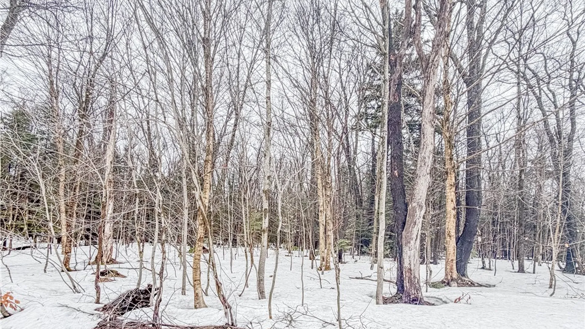 Property at 1727 Olin Road, Montague, NY 13367 6