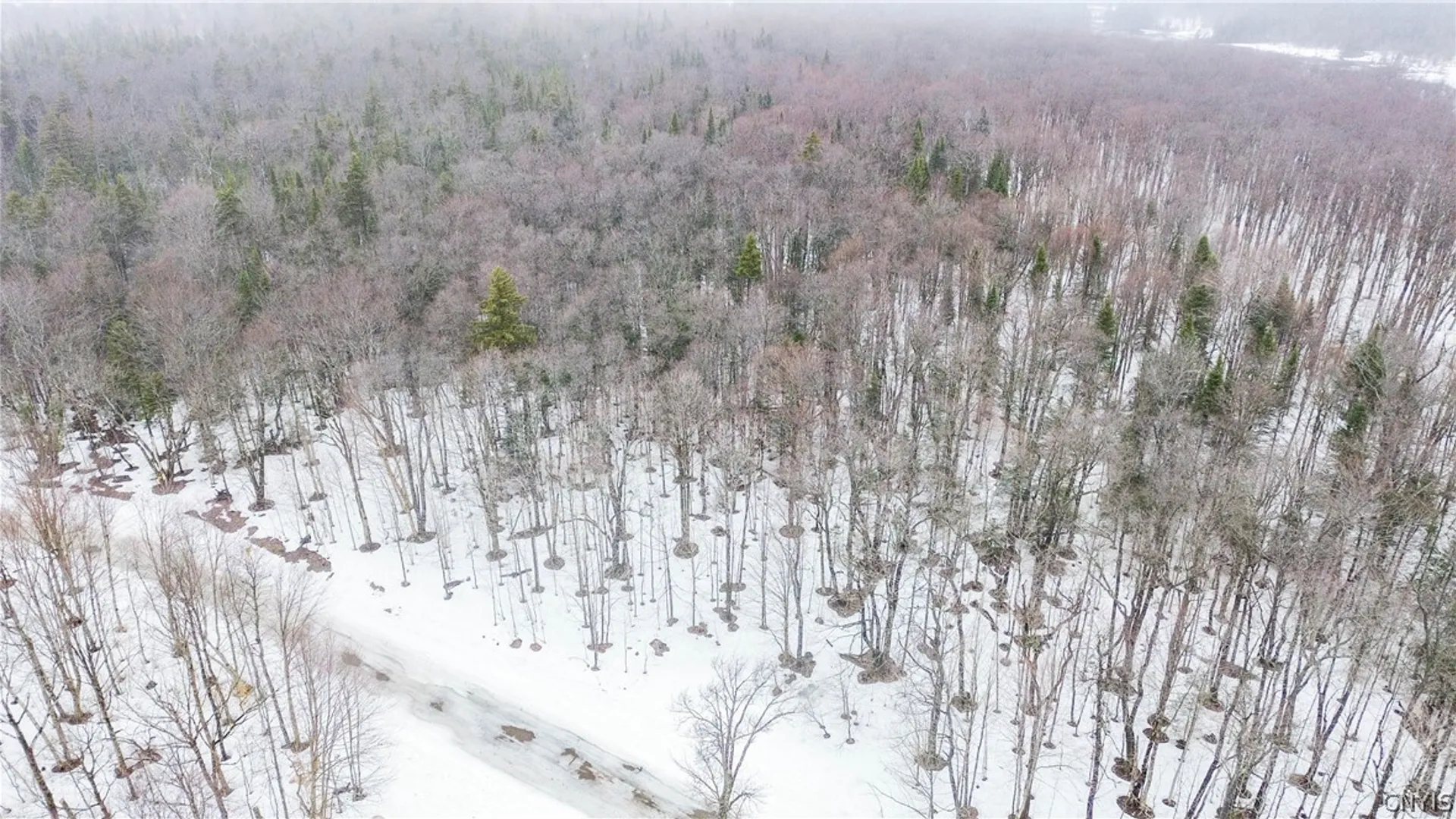 Property at 1727 Olin Road, Montague, NY 13367 8