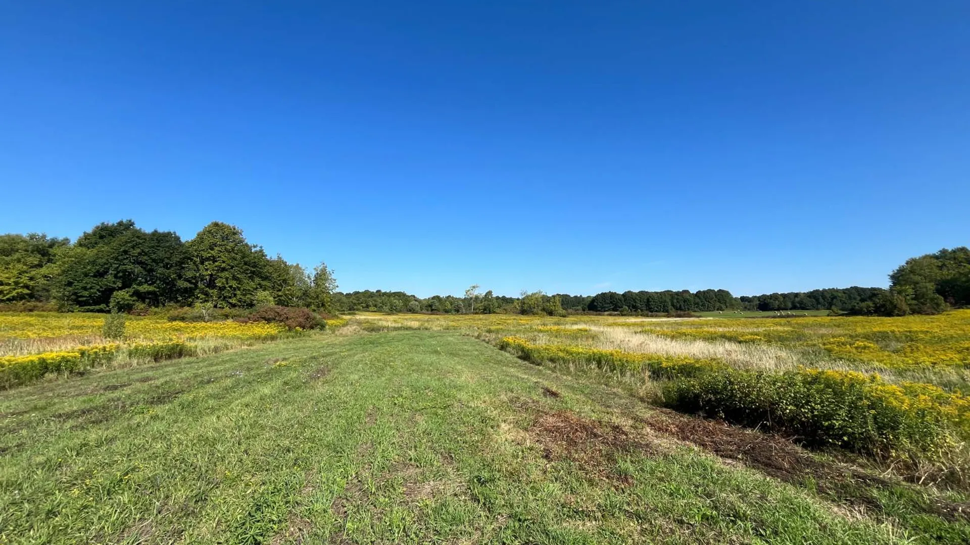 Property at 38859 Austin Rd, Antwerp, NY 13608 10