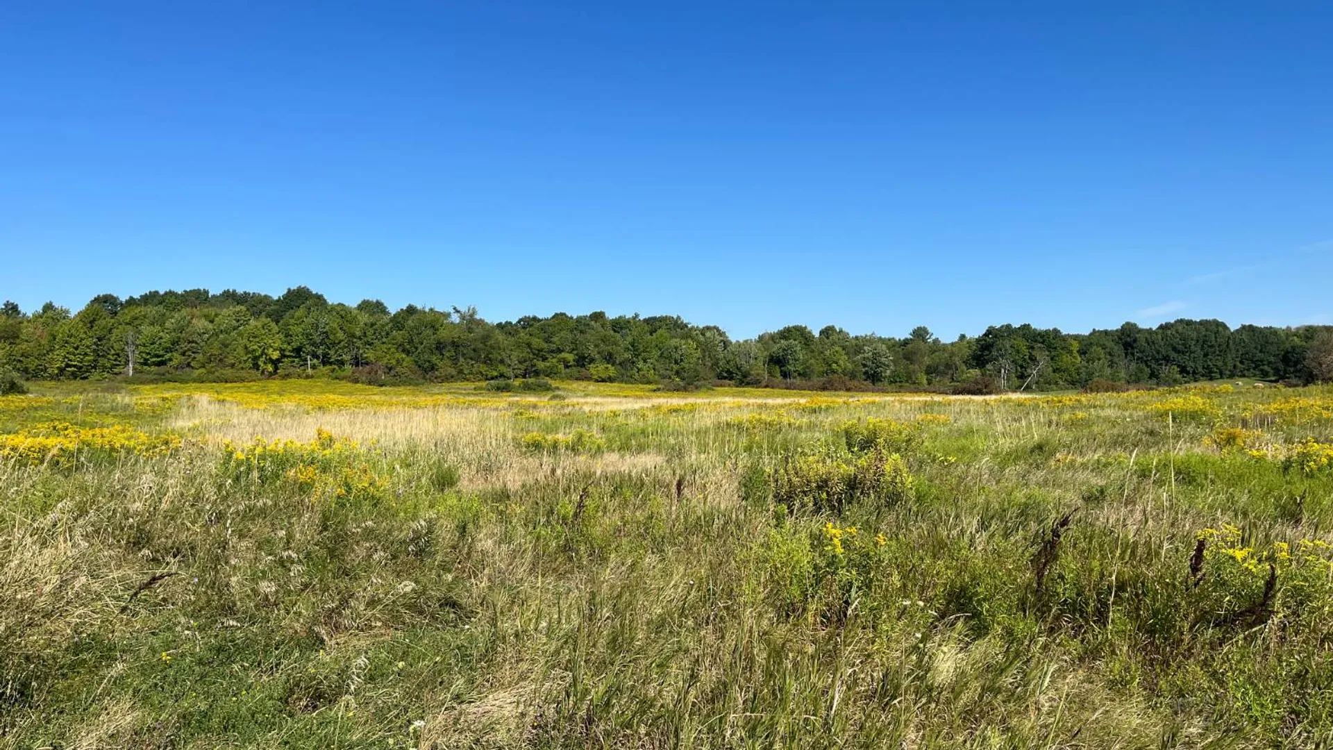 Property at 38859 Austin Rd, Antwerp, NY 13608 11