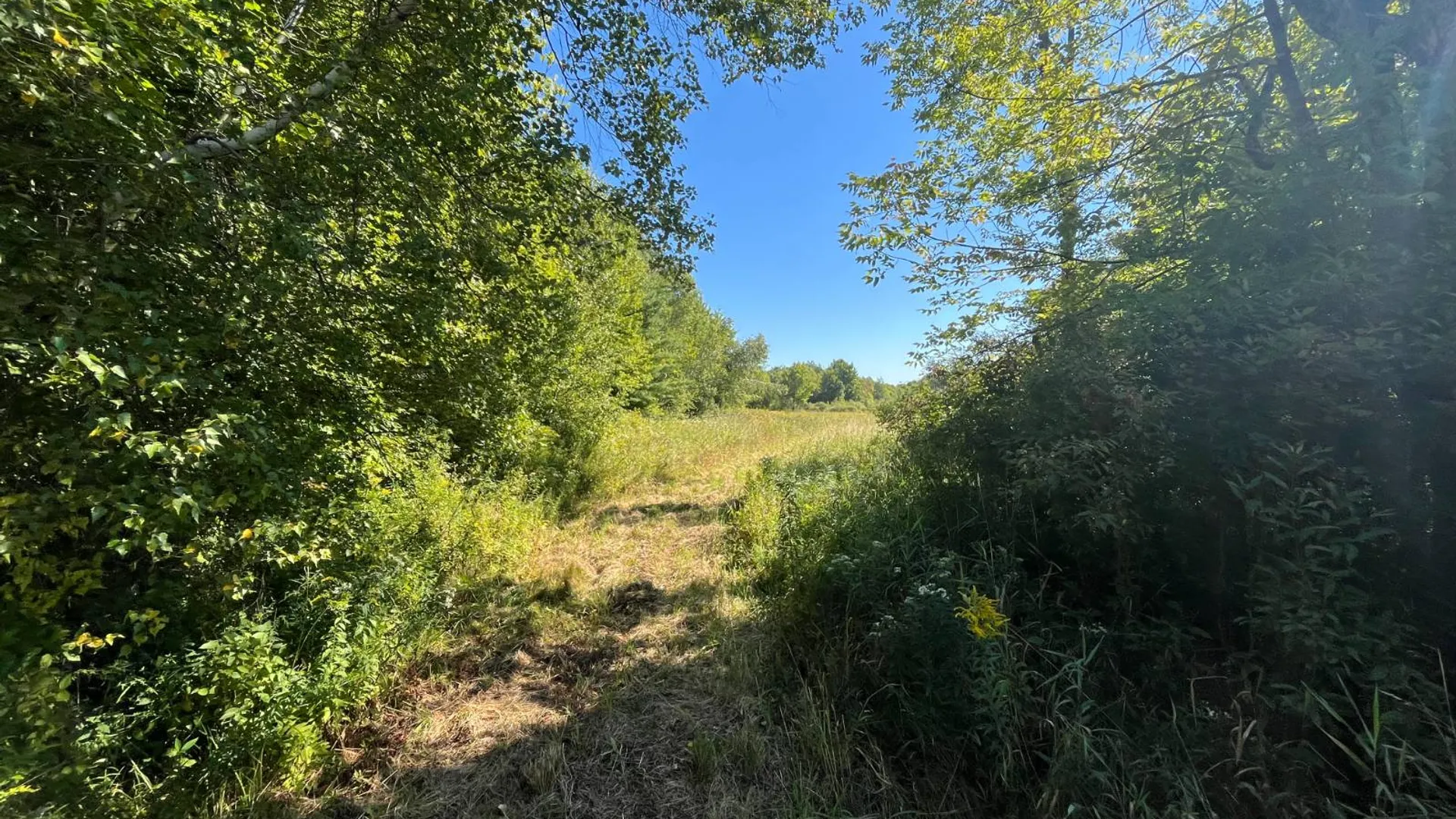 Property at 38859 Austin Rd, Antwerp, NY 13608 12