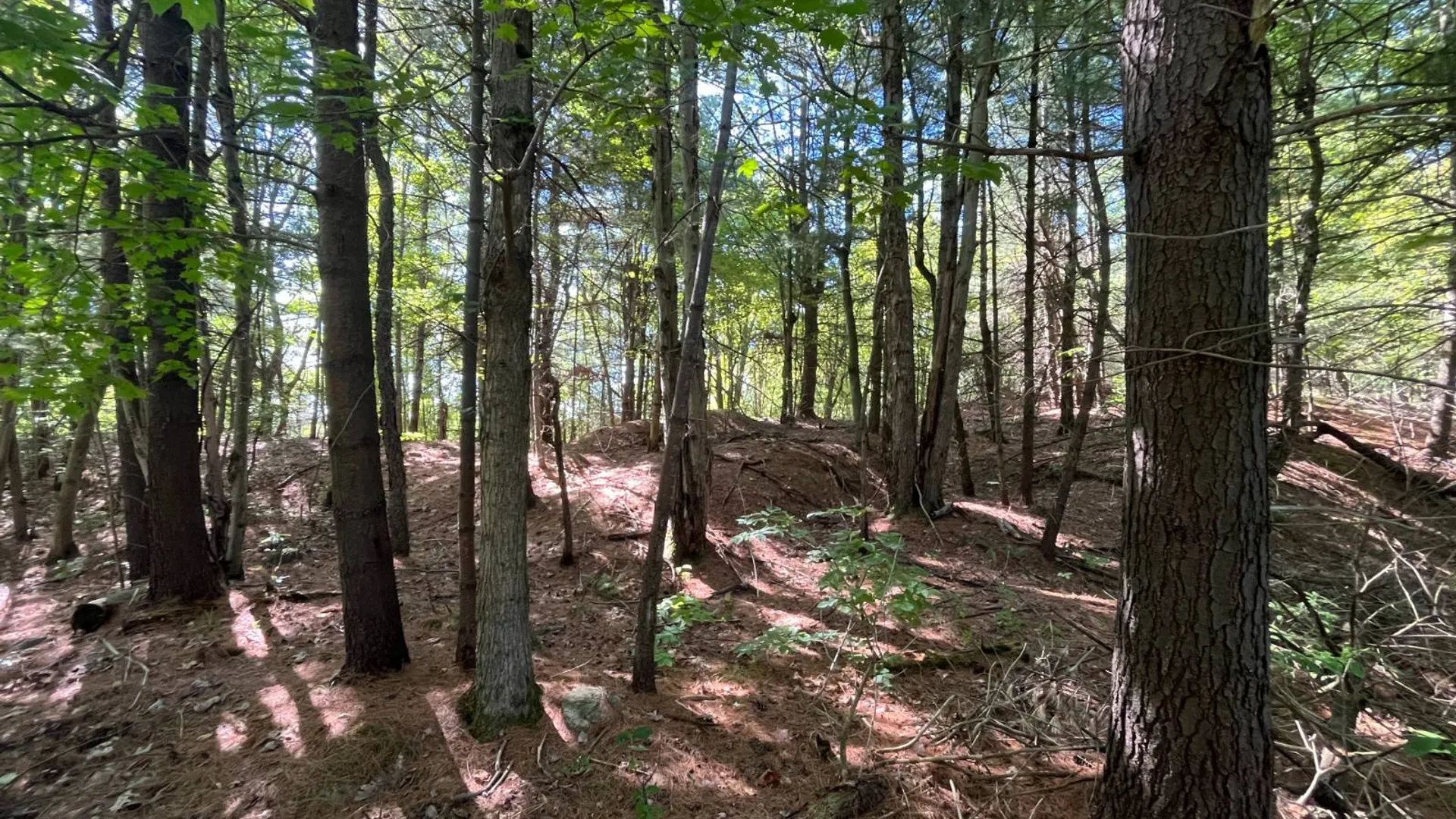 Property at 38859 Austin Rd, Antwerp, NY 13608 13