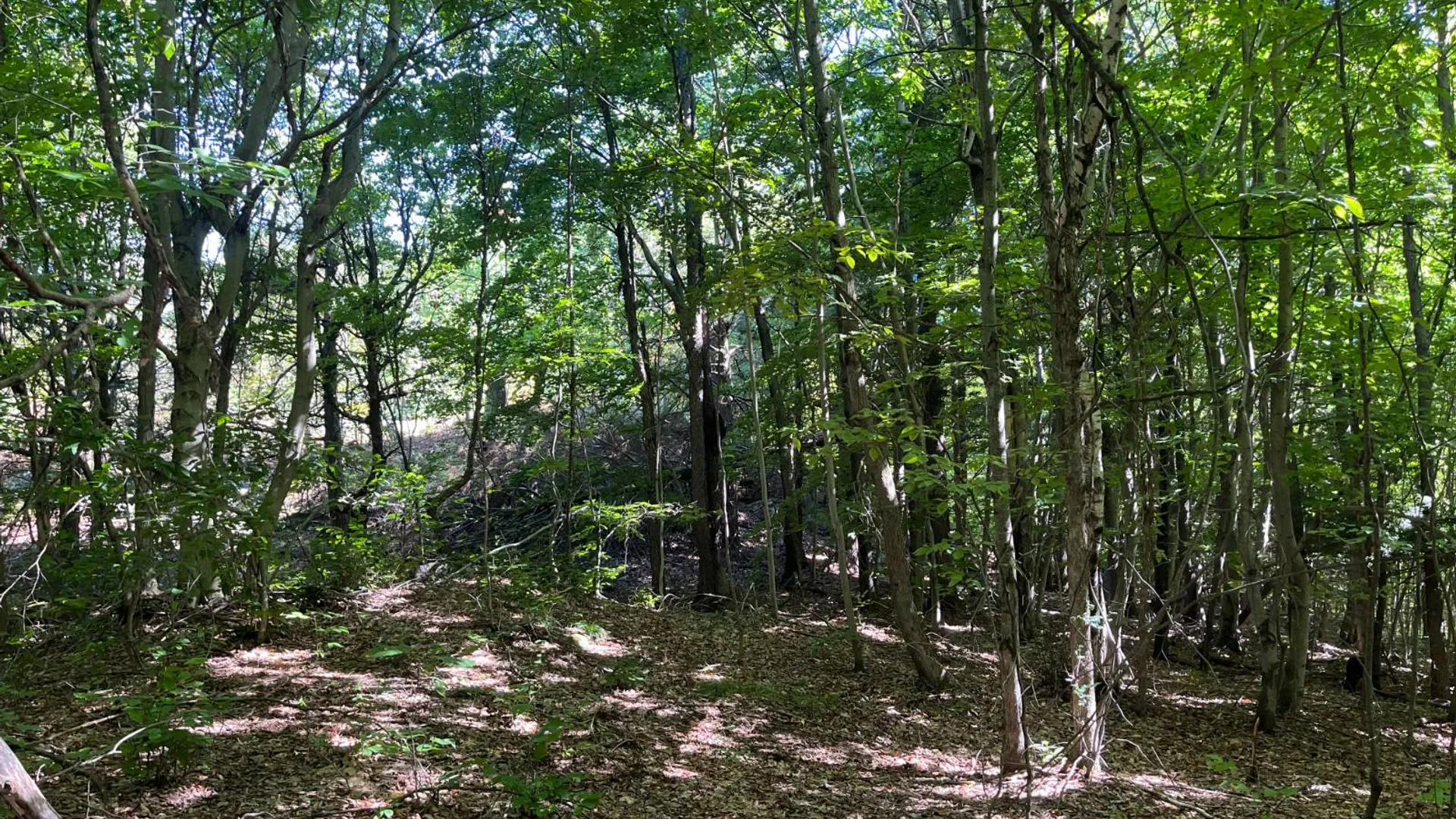 Property at 38859 Austin Rd, Antwerp, NY 13608 14