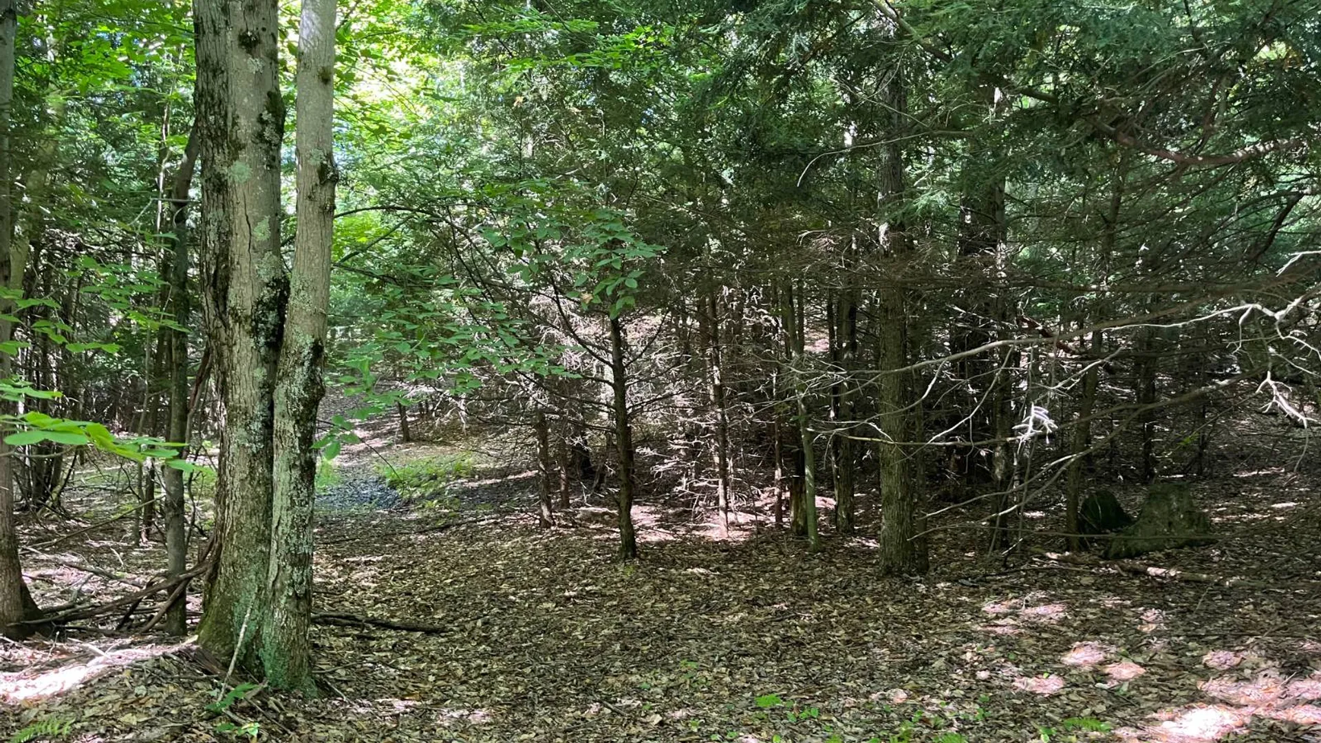 Property at 38859 Austin Rd, Antwerp, NY 13608 15