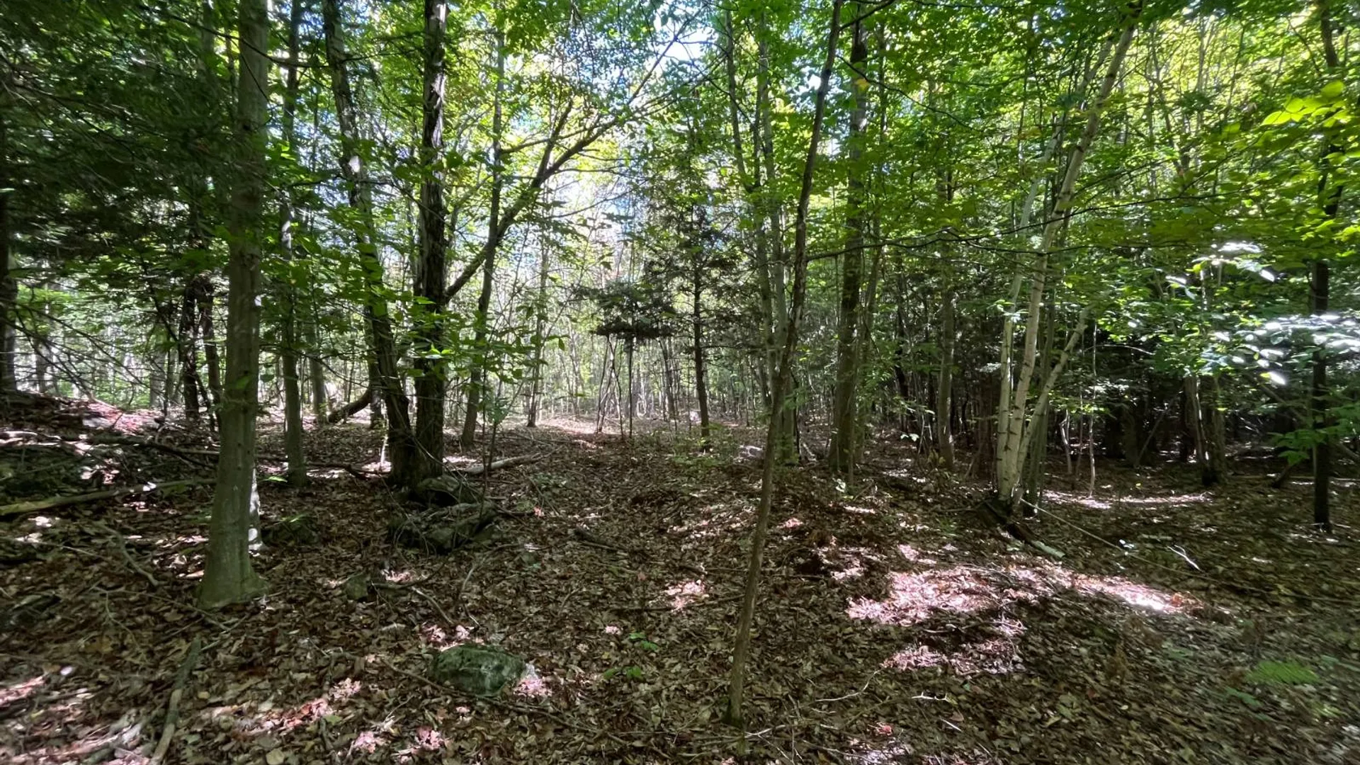 Property at 38859 Austin Rd, Antwerp, NY 13608 16