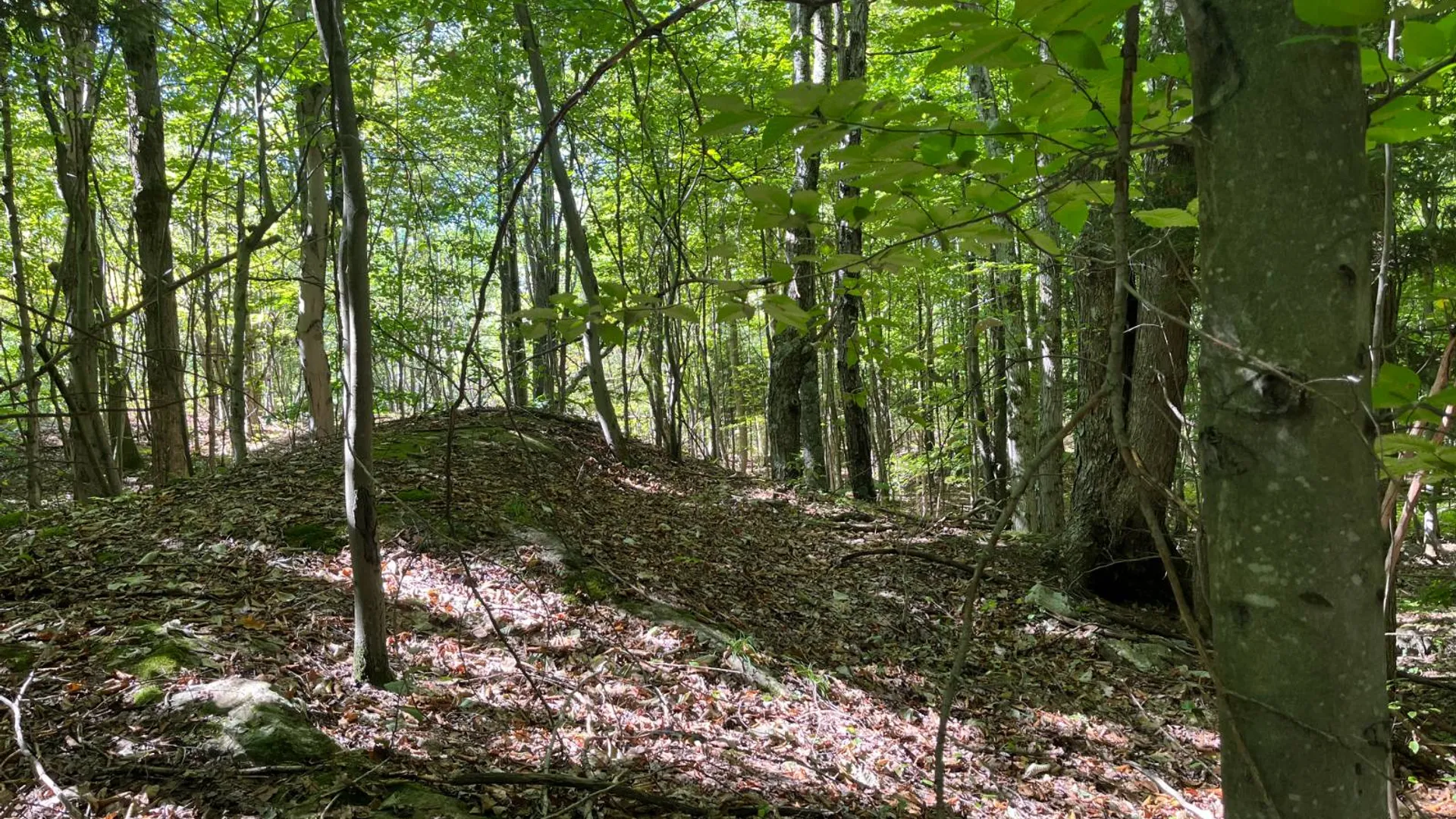 Property at 38859 Austin Rd, Antwerp, NY 13608 17