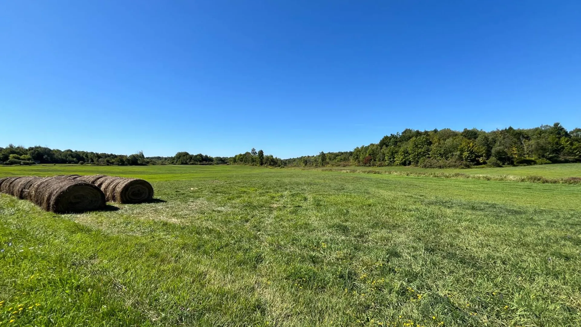 Property at 38859 Austin Rd, Antwerp, NY 13608 22