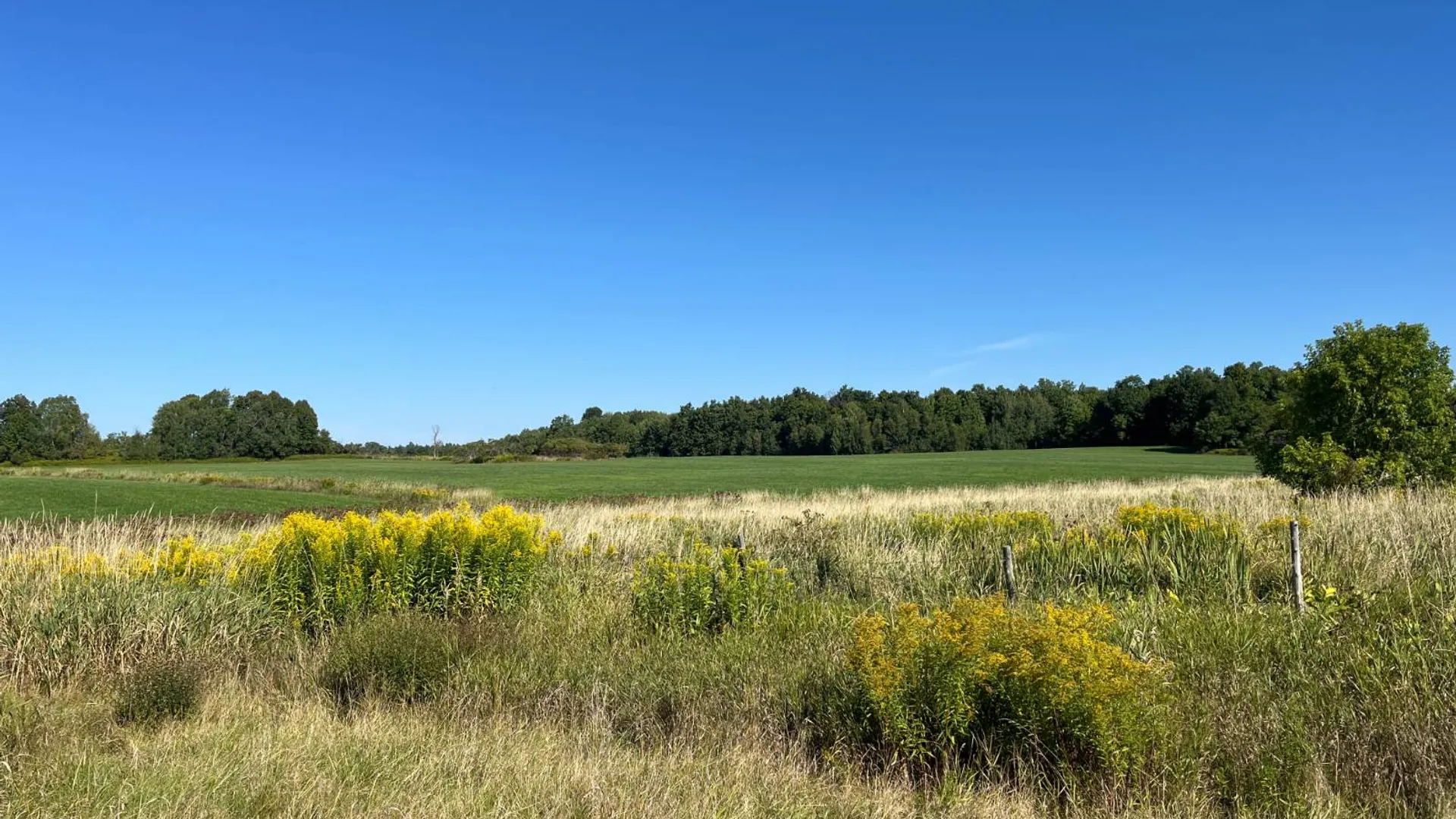 Property at 38859 Austin Rd, Antwerp, NY 13608 3