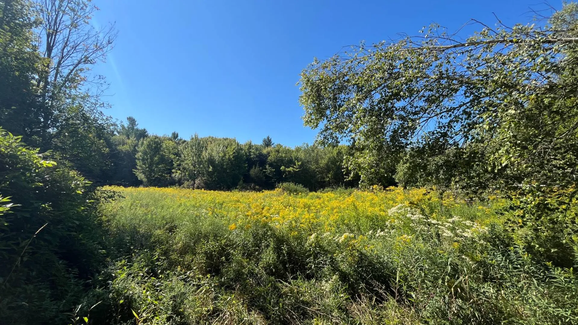 Property at 38859 Austin Rd, Antwerp, NY 13608 7