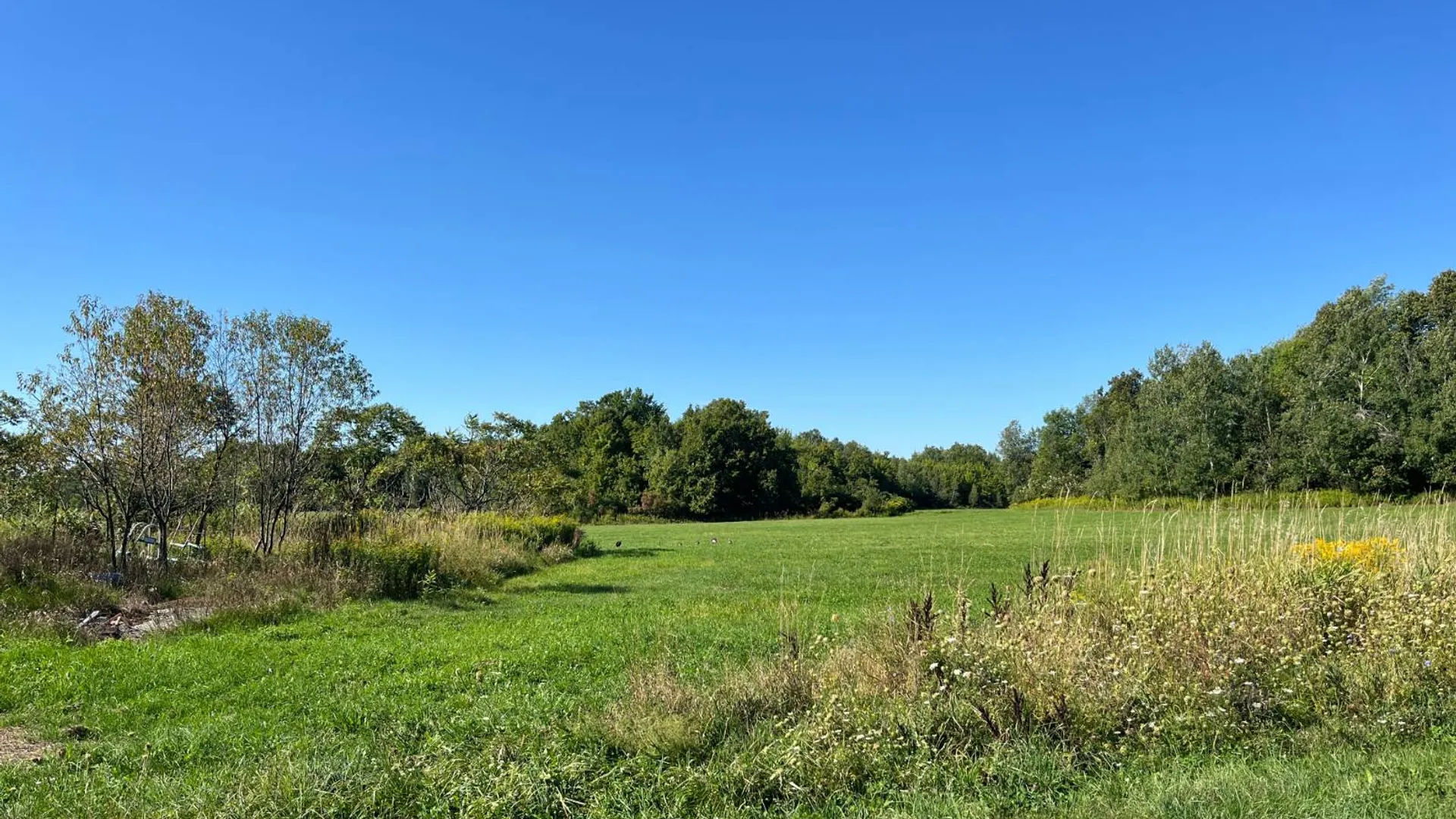 Property at 38859 Austin Rd, Antwerp, NY 13608 8