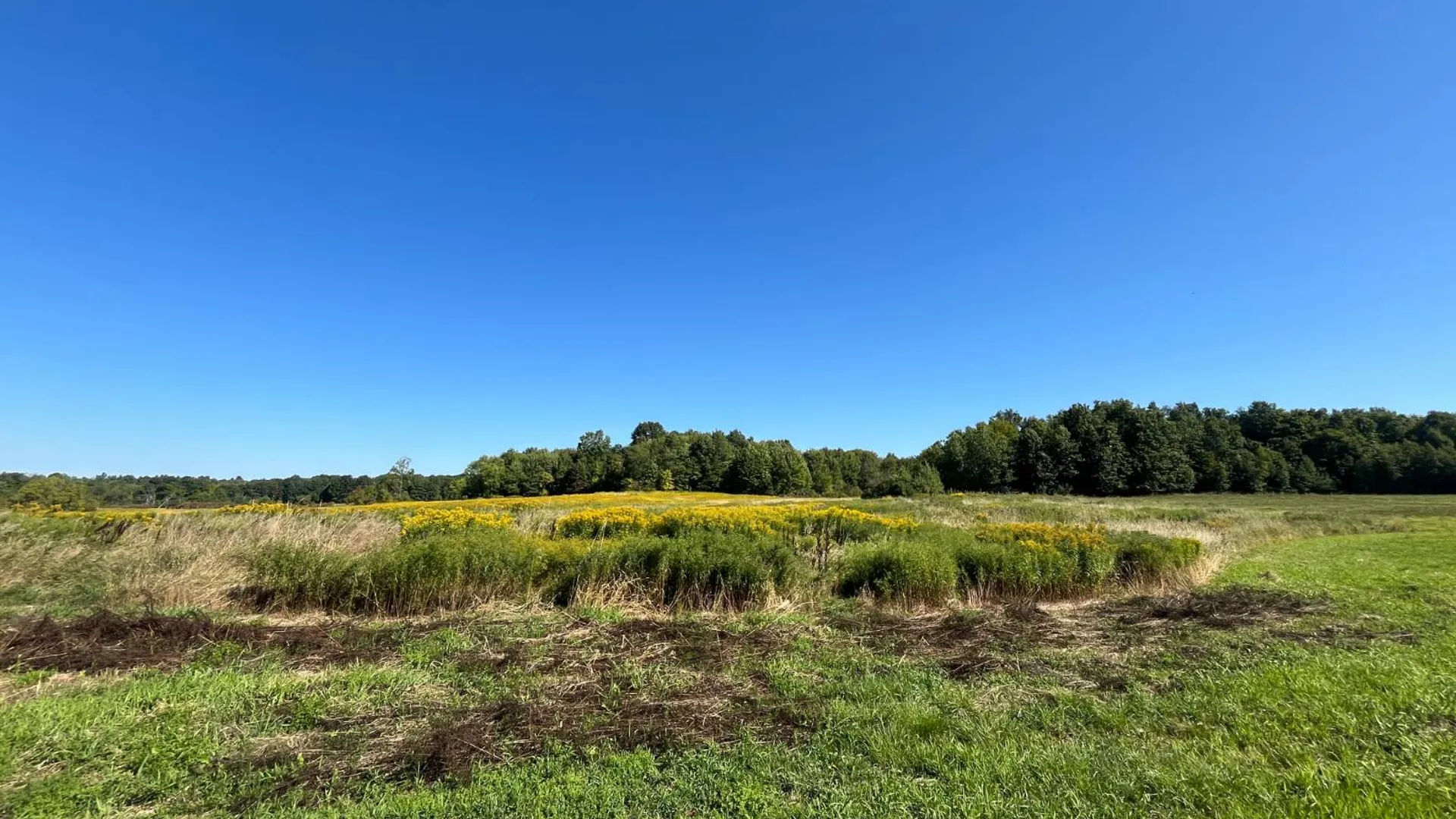 Property at 38859 Austin Rd, Antwerp, NY 13608 9