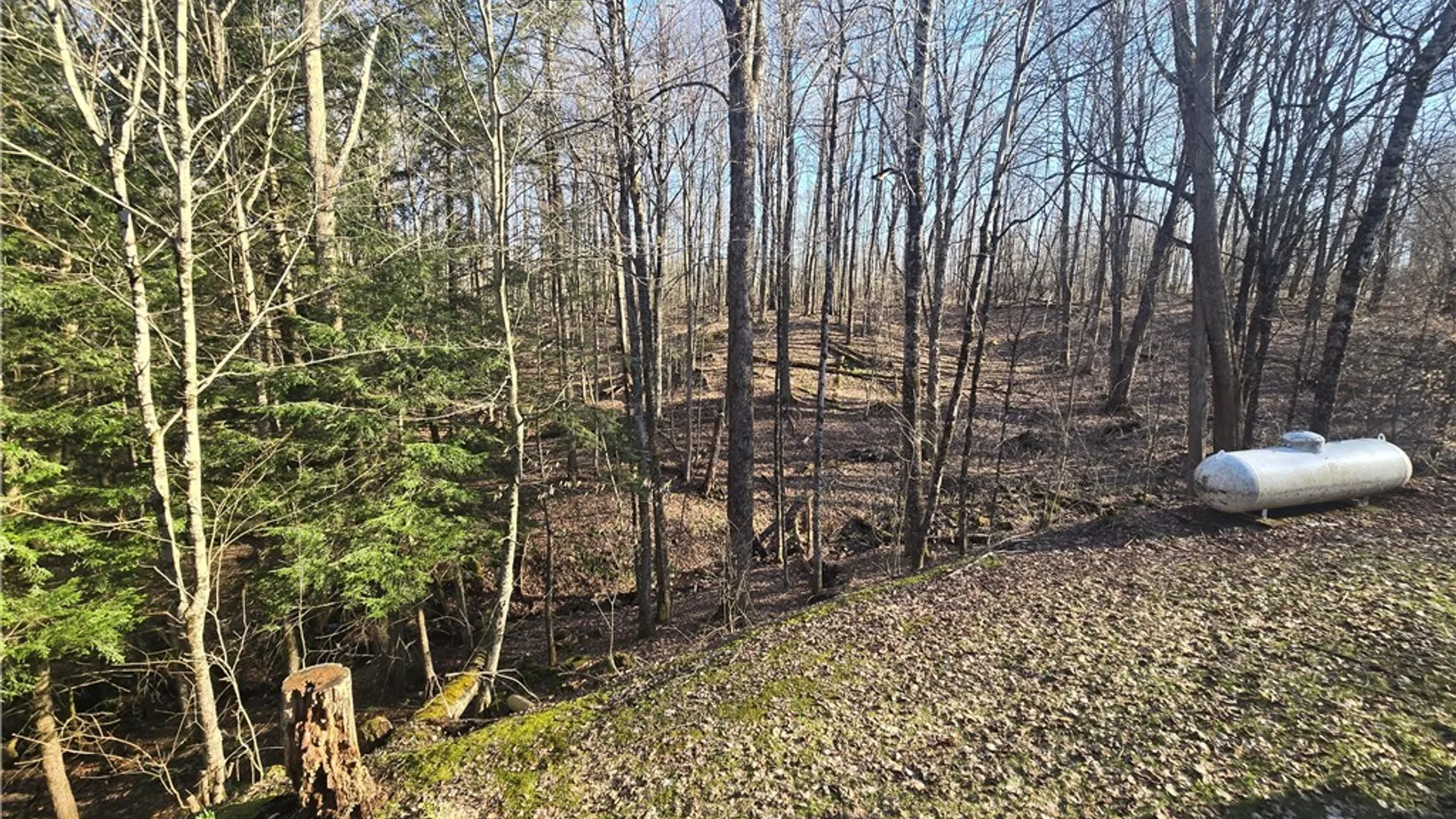 Property at 862 Honey Hill Road, Newport, NY 13431 31