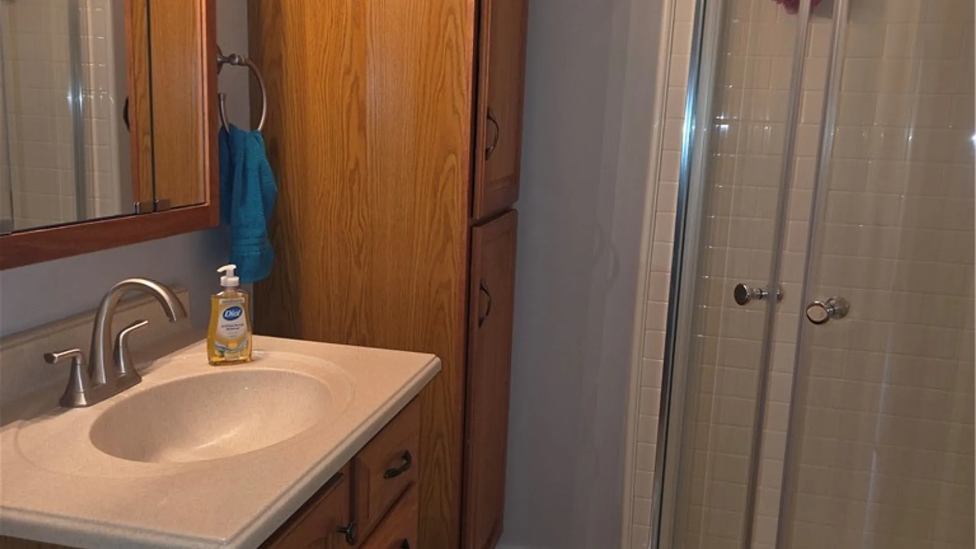 Property at 241 Erie Street, Erwin, NY 14870 12