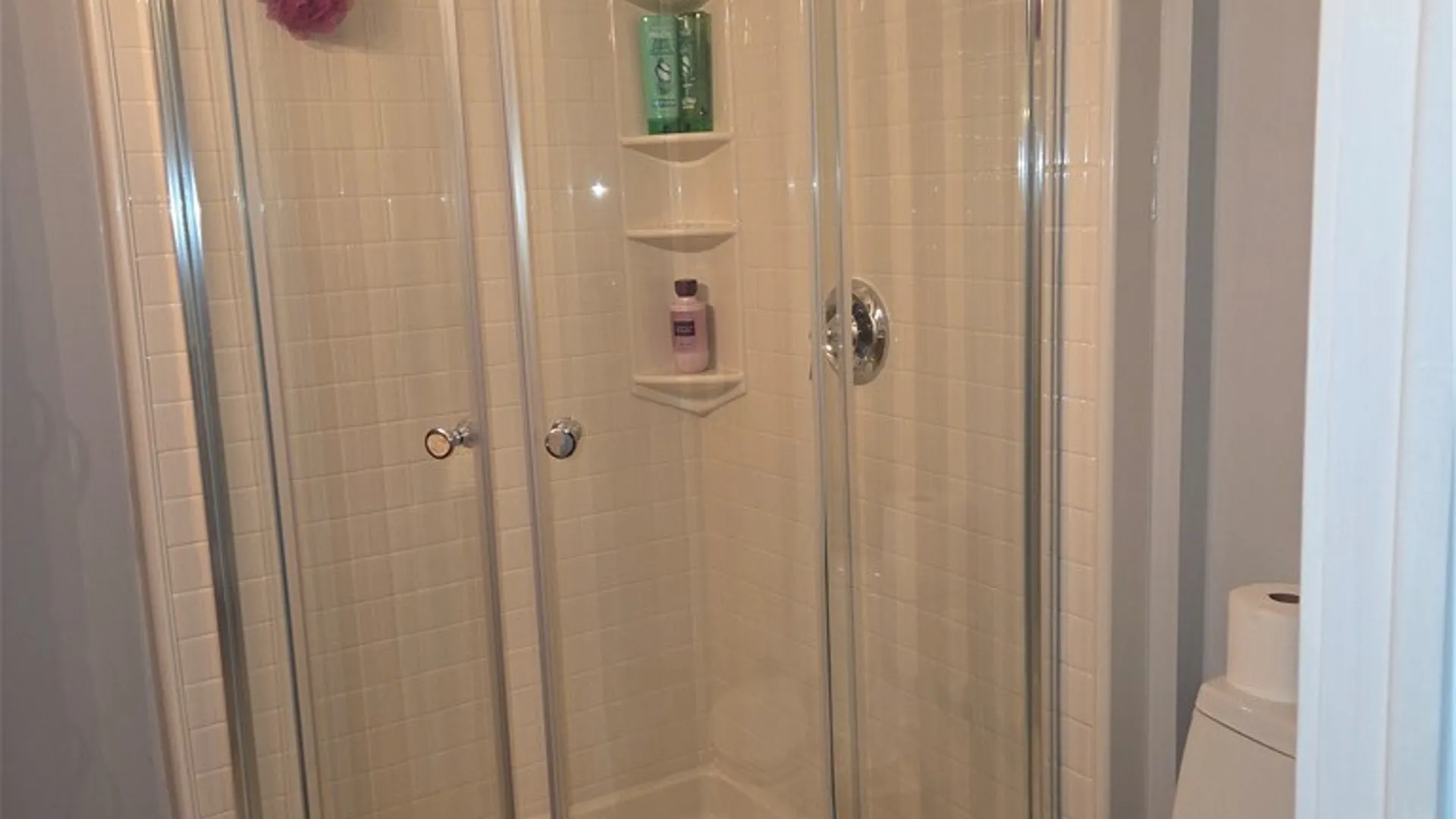 Property at 241 Erie Street, Erwin, NY 14870 13