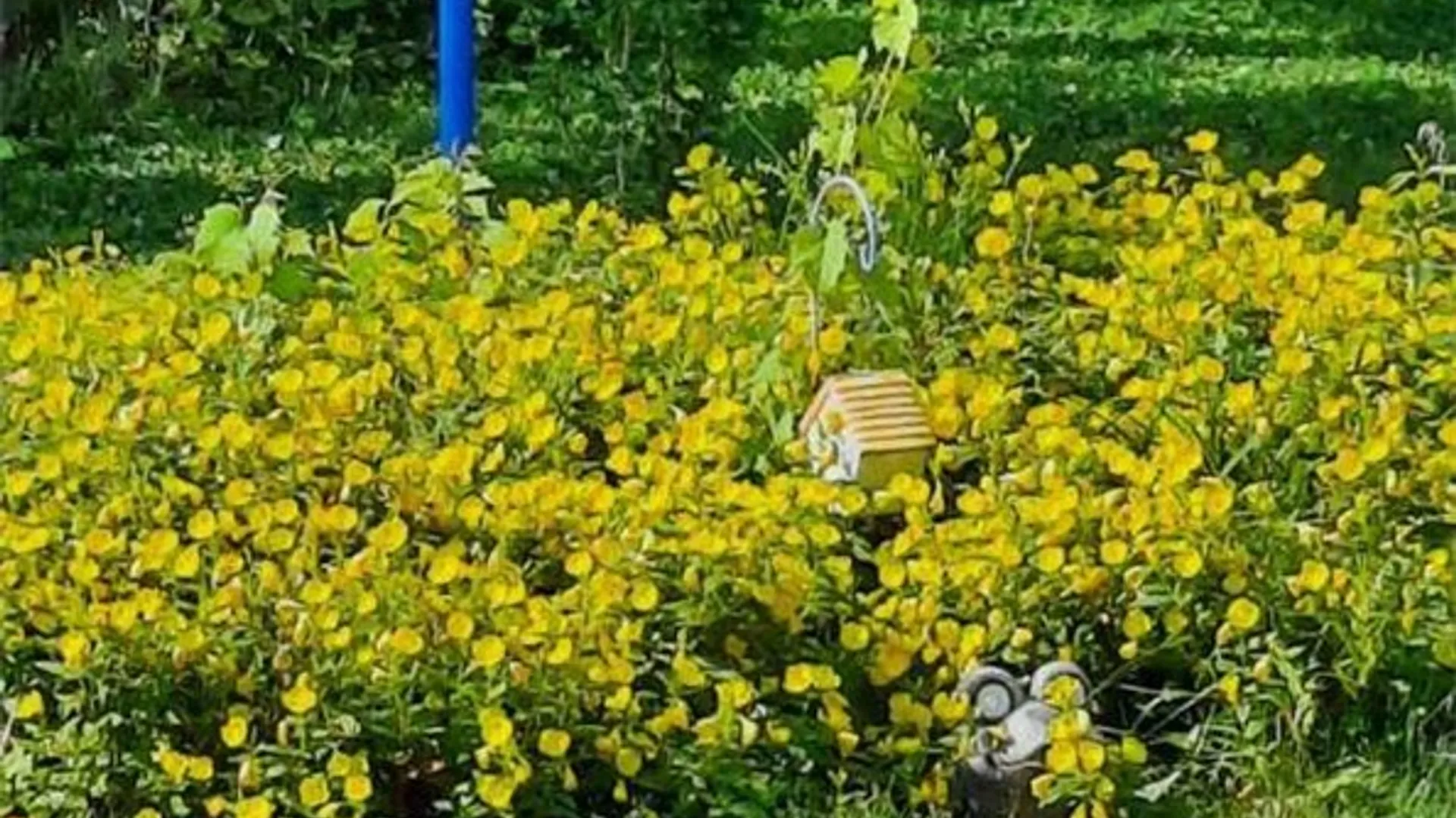 Property at 241 Erie Street, Erwin, NY 14870 35