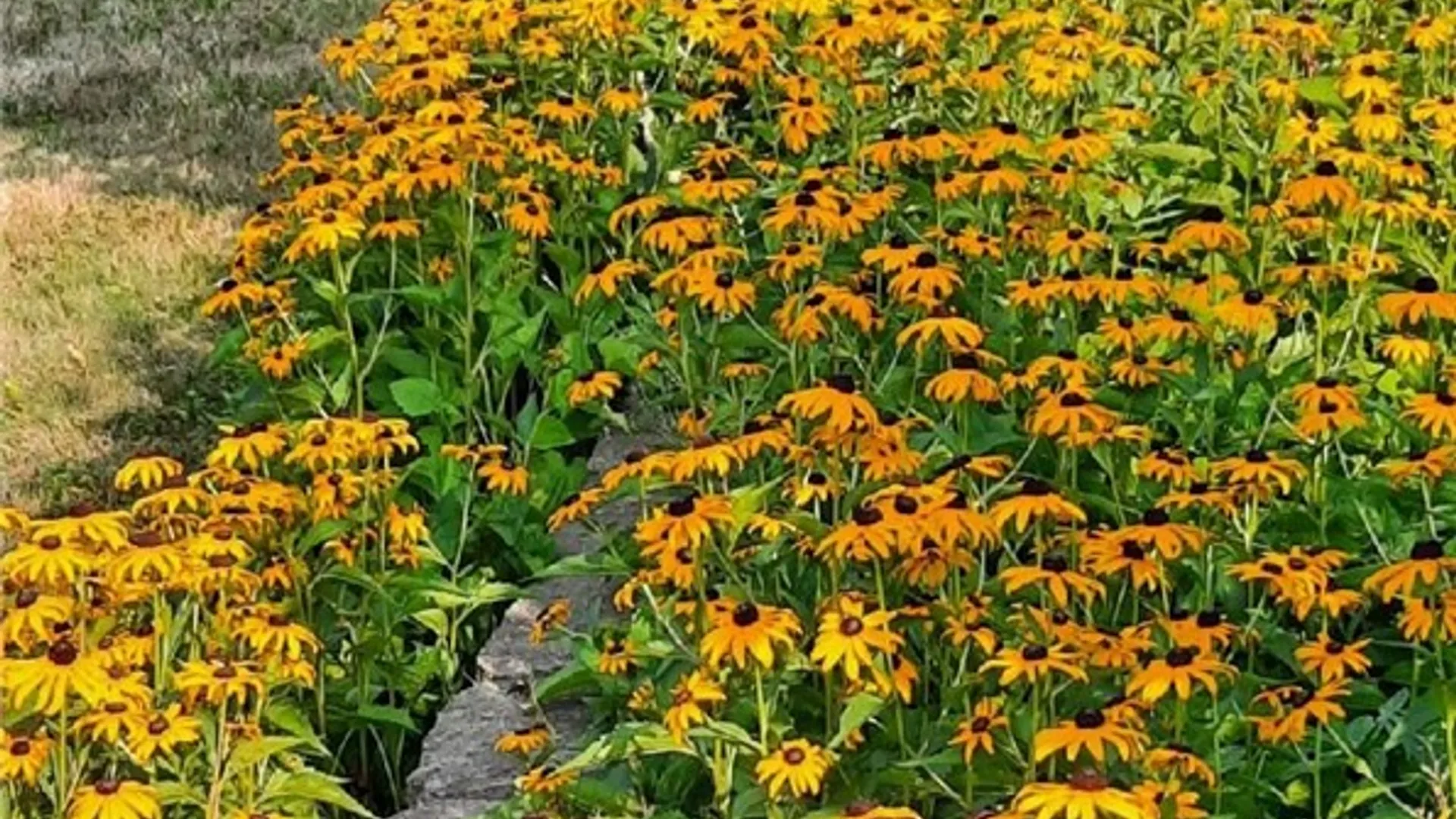 Property at 241 Erie Street, Erwin, NY 14870 38