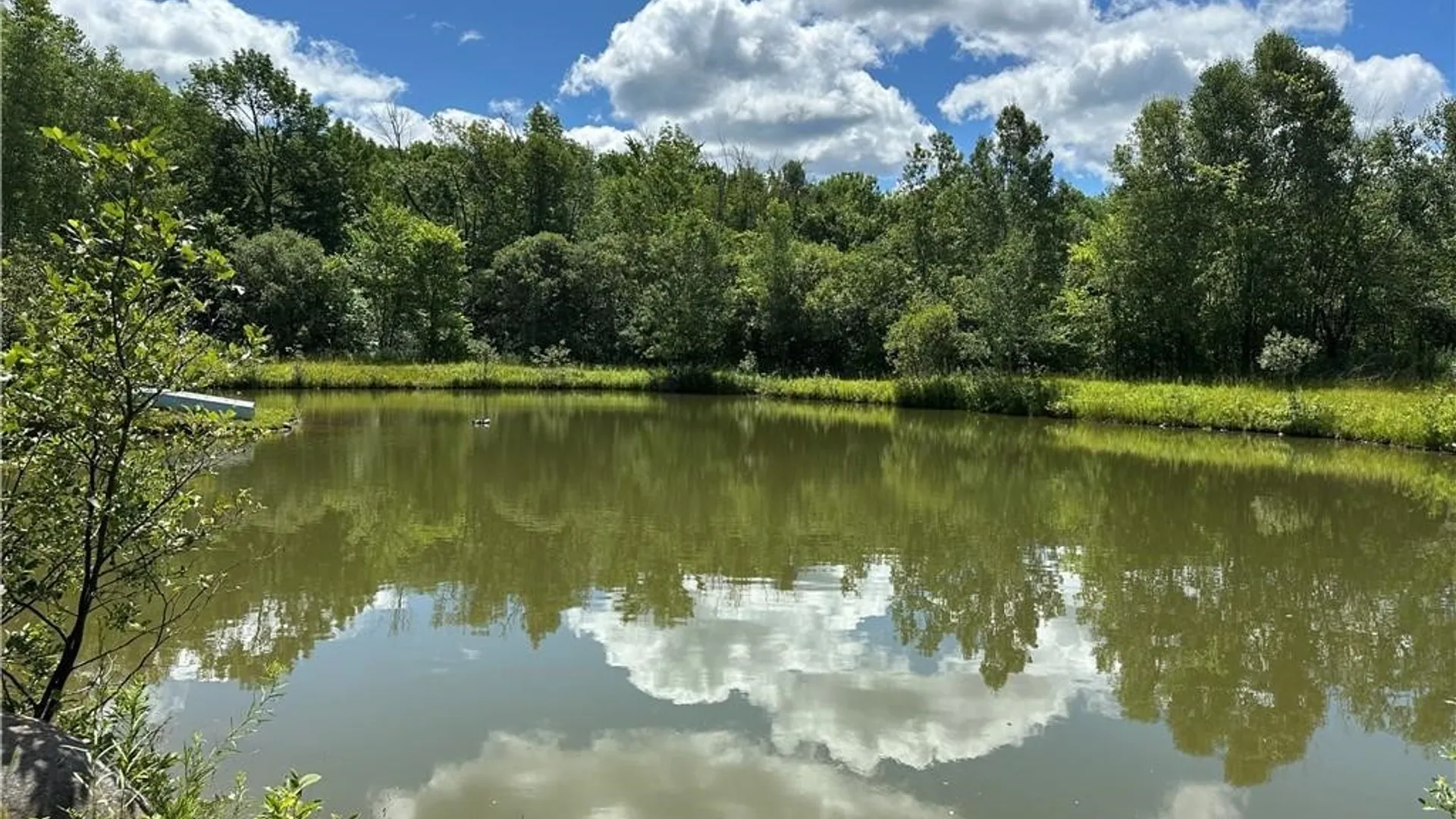 Property at Brown Road, Lorraine, NY 13659 19