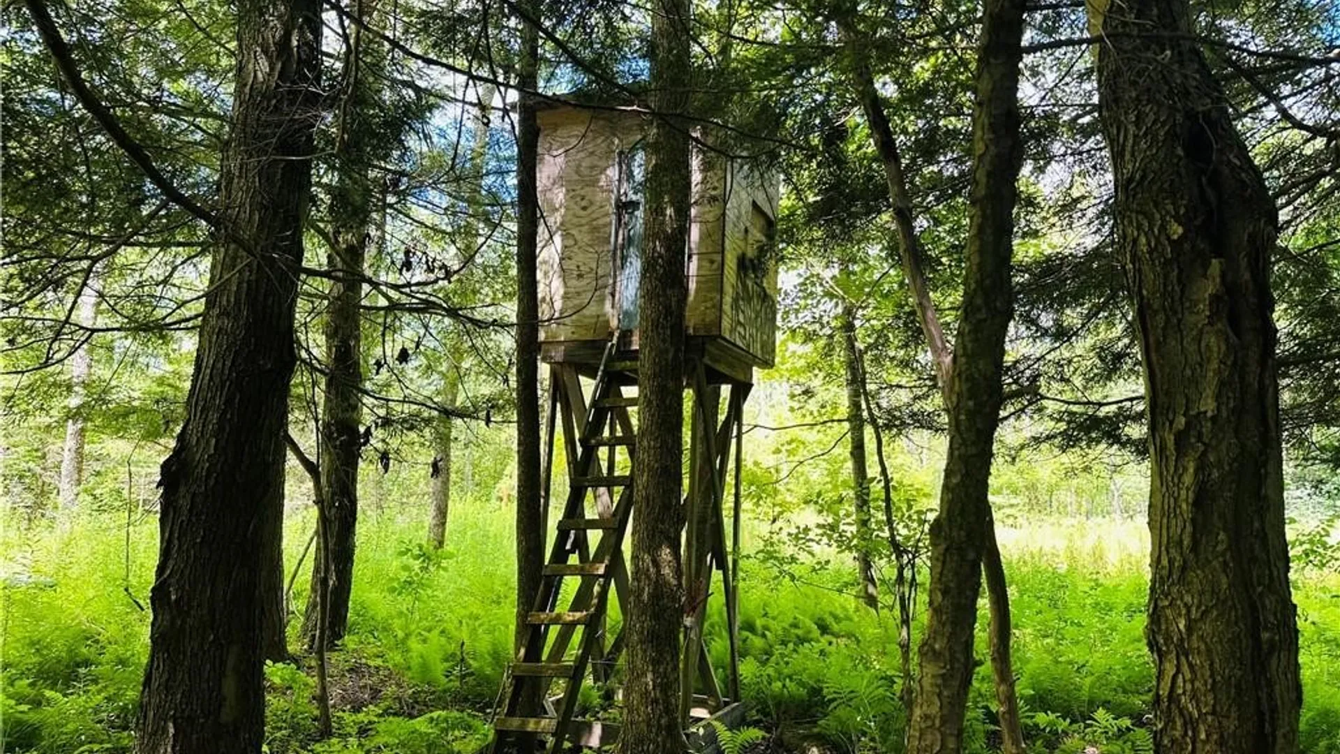 Property at Brown Road, Lorraine, NY 13659 25