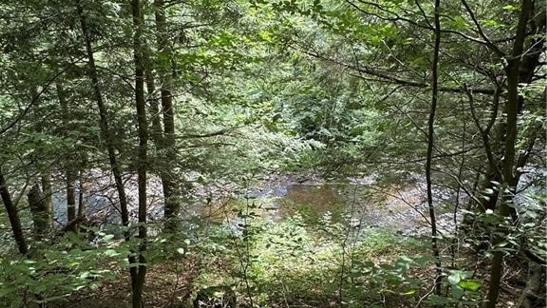 Property at Brown Road, Lorraine, NY 13659 29