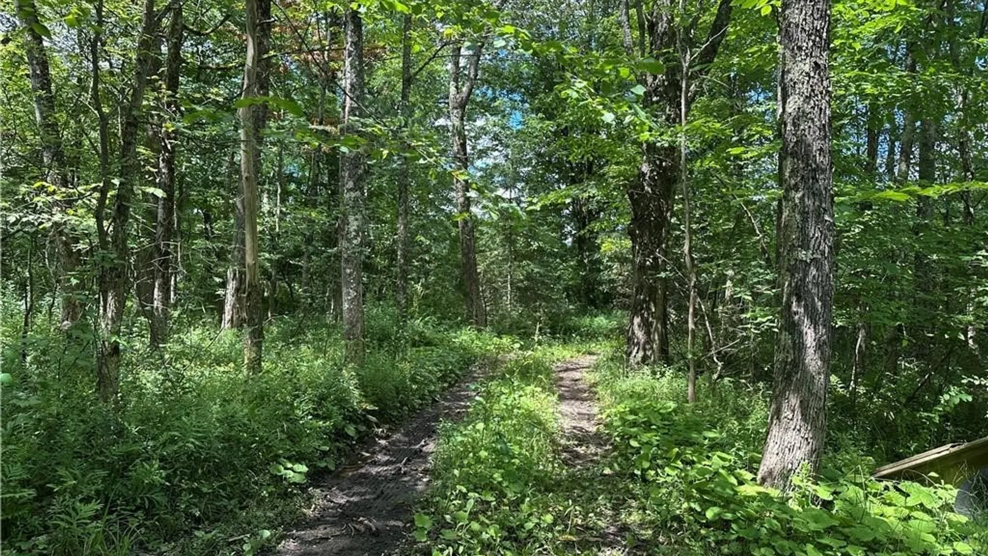 Property at Brown Road, Lorraine, NY 13659 30