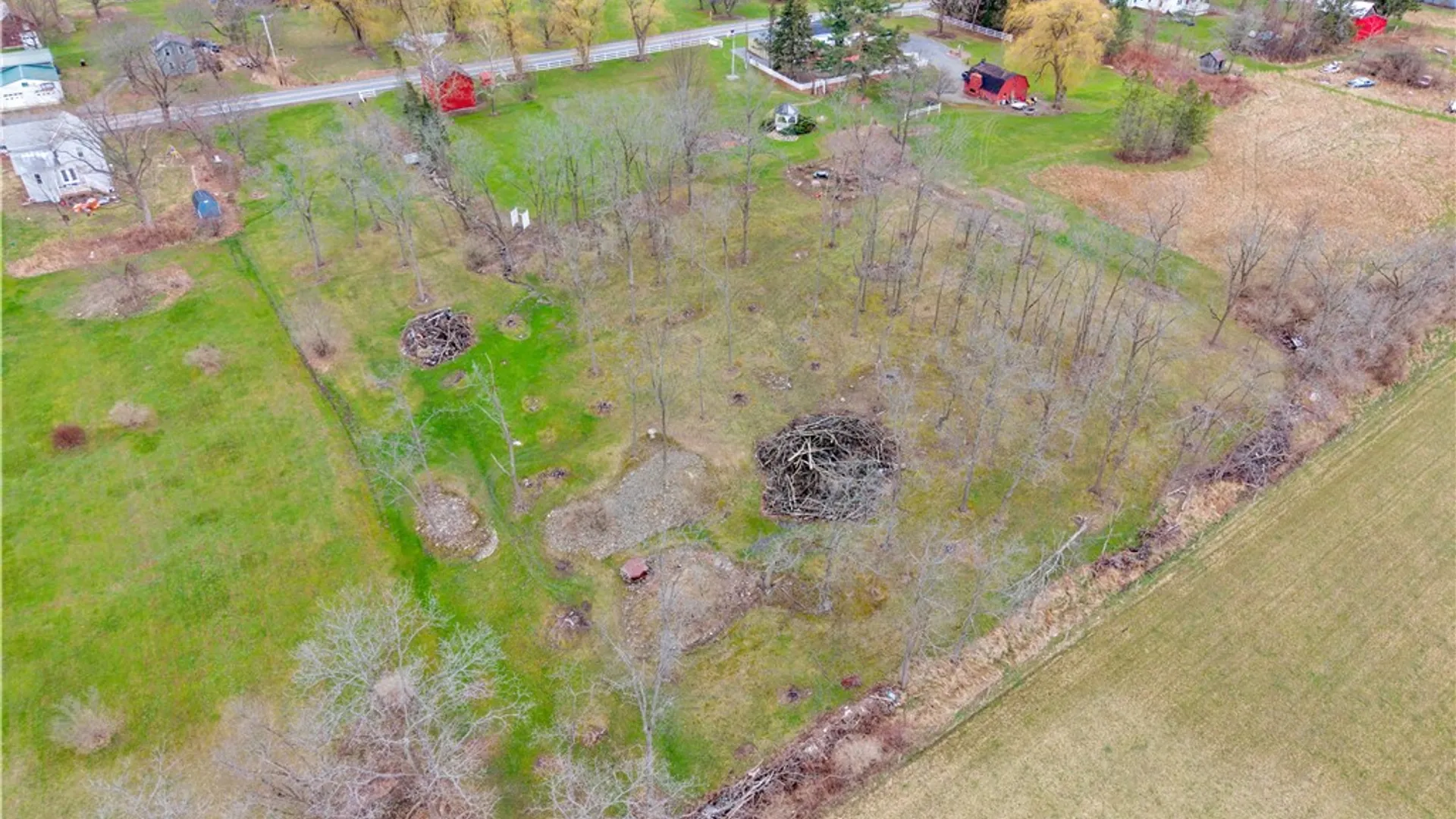 Property at 0 County Road 4, Hector, NY 14818 3