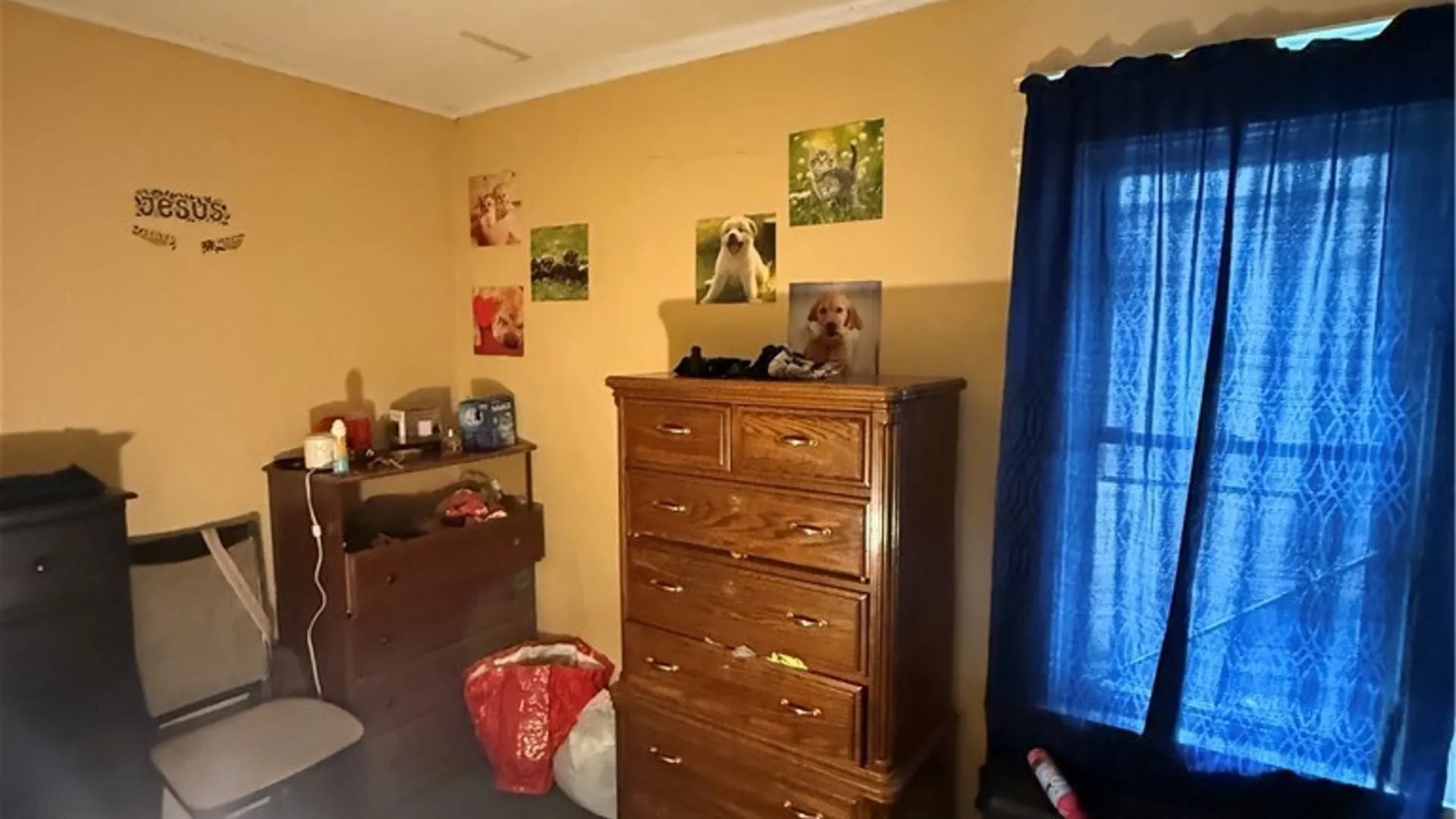 Property at 107 Jones Street, Buffalo, NY 14206 23