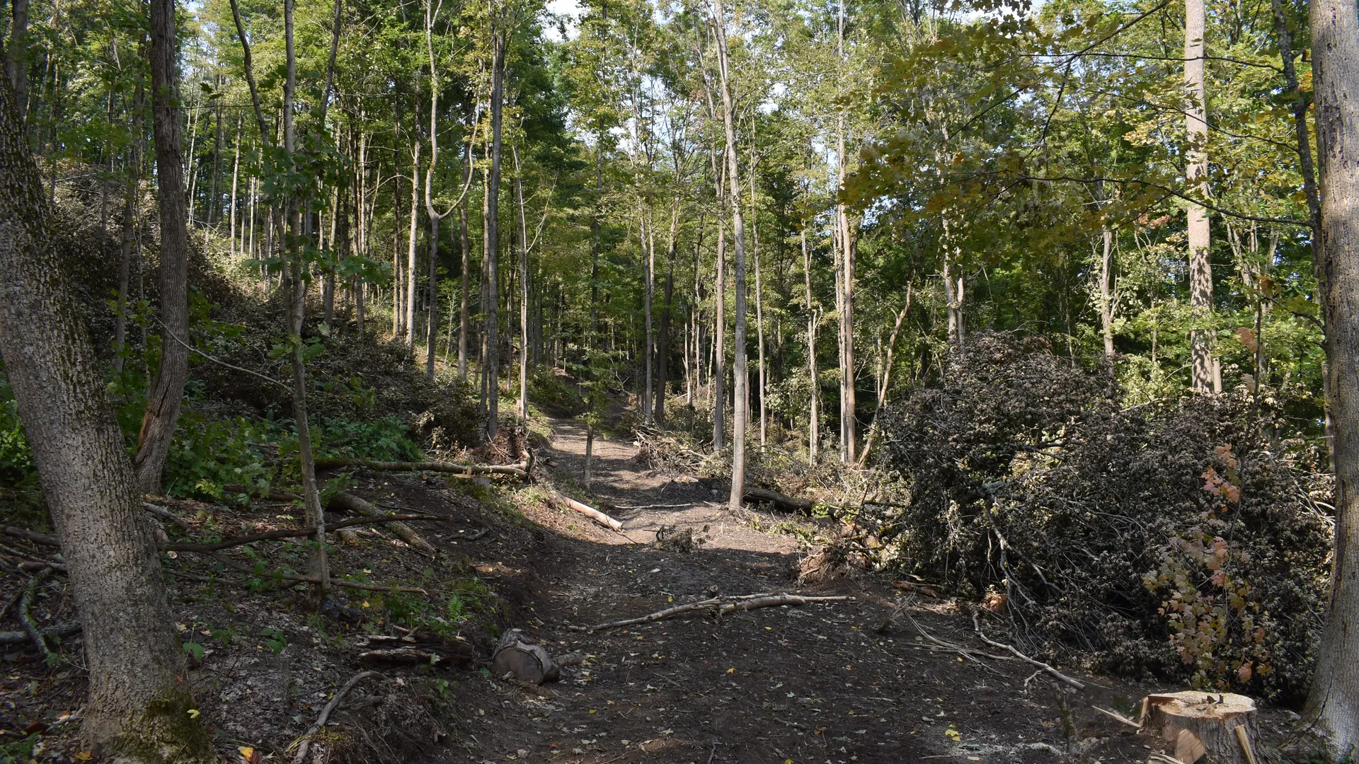 Property at Route 380, Jamestown, NY 14701 10