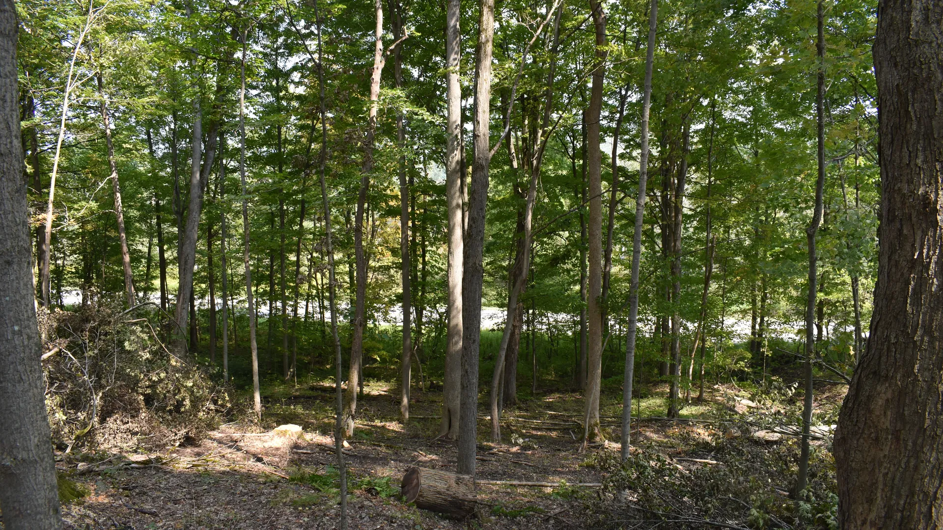 Property at Route 380, Jamestown, NY 14701 18