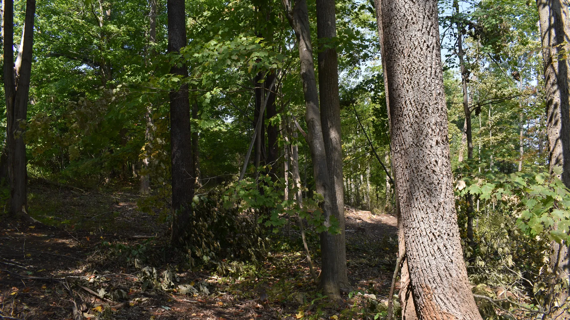 Property at Route 380, Jamestown, NY 14701 21