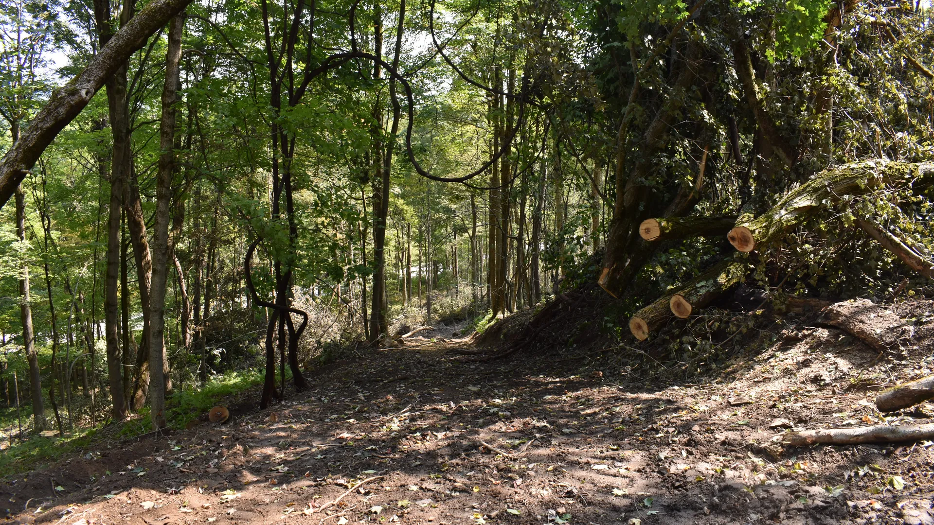 Property at Route 380, Jamestown, NY 14701 22