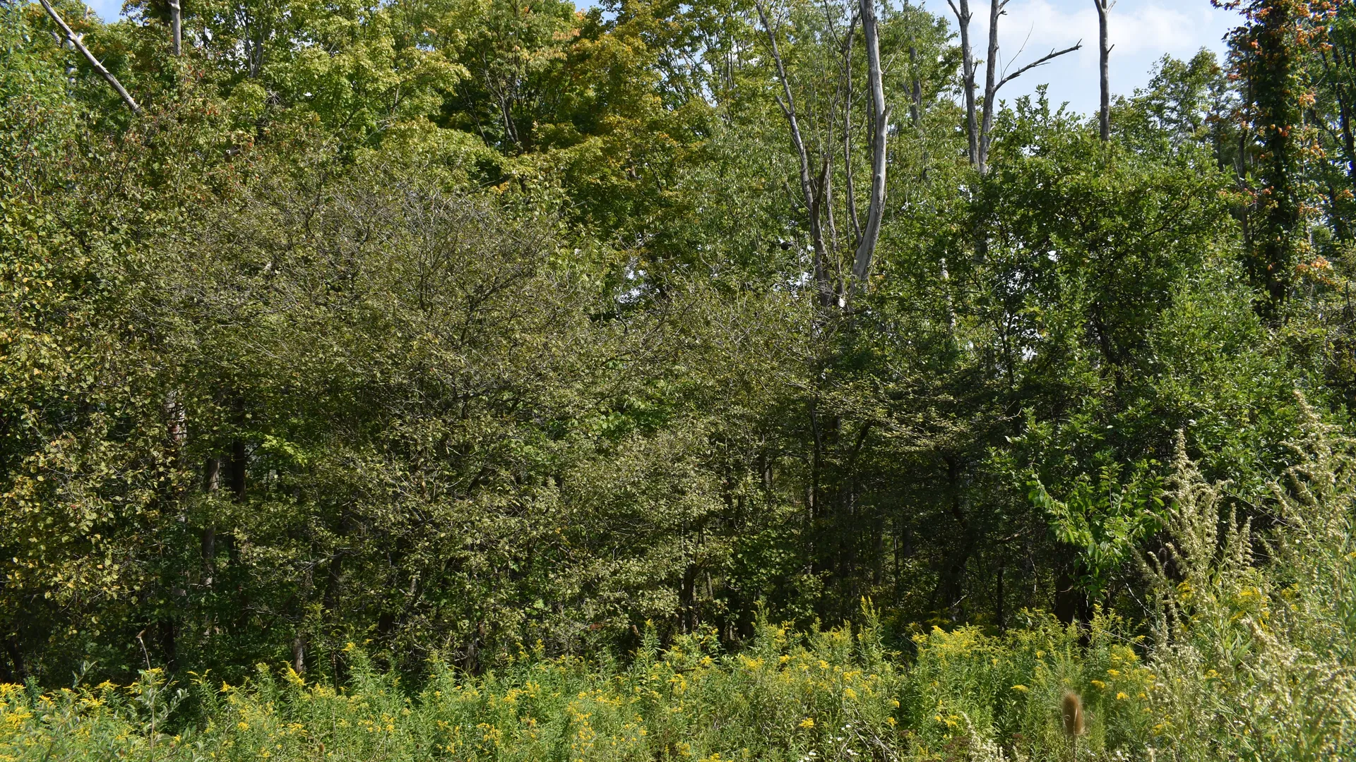 Property at Route 380, Jamestown, NY 14701 25