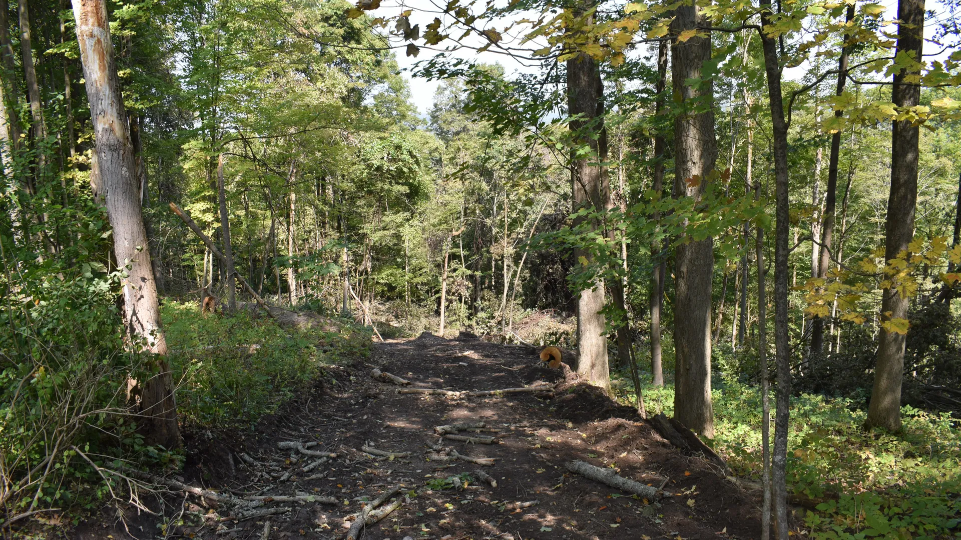 Property at Route 380, Jamestown, NY 14701 29