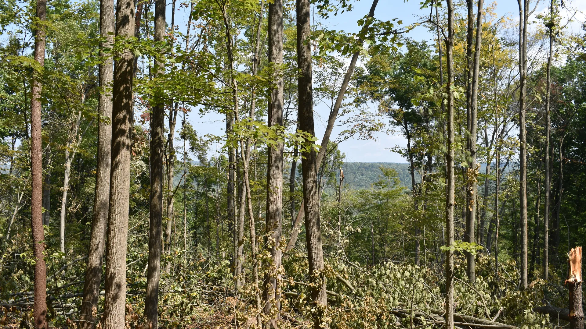 Property at Route 380, Jamestown, NY 14701 3